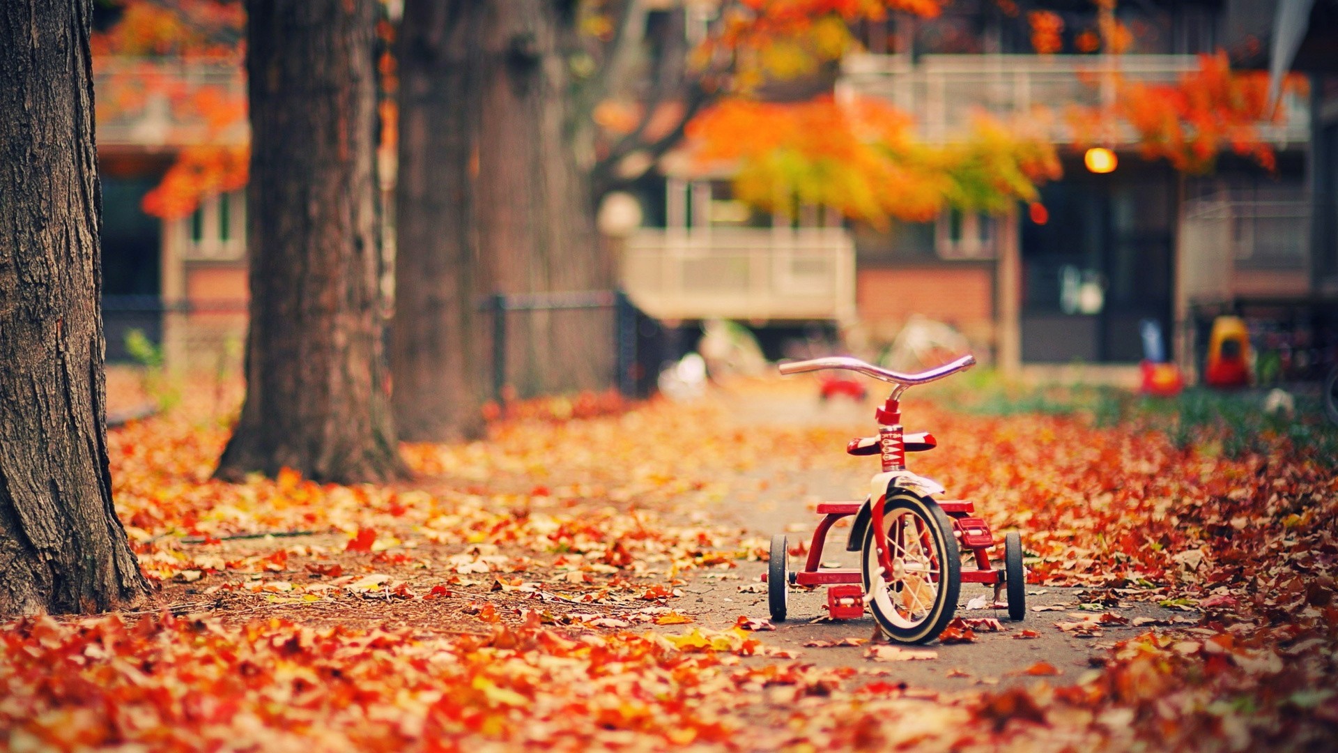 1920x1080 Children's bicycle on the fall foliage