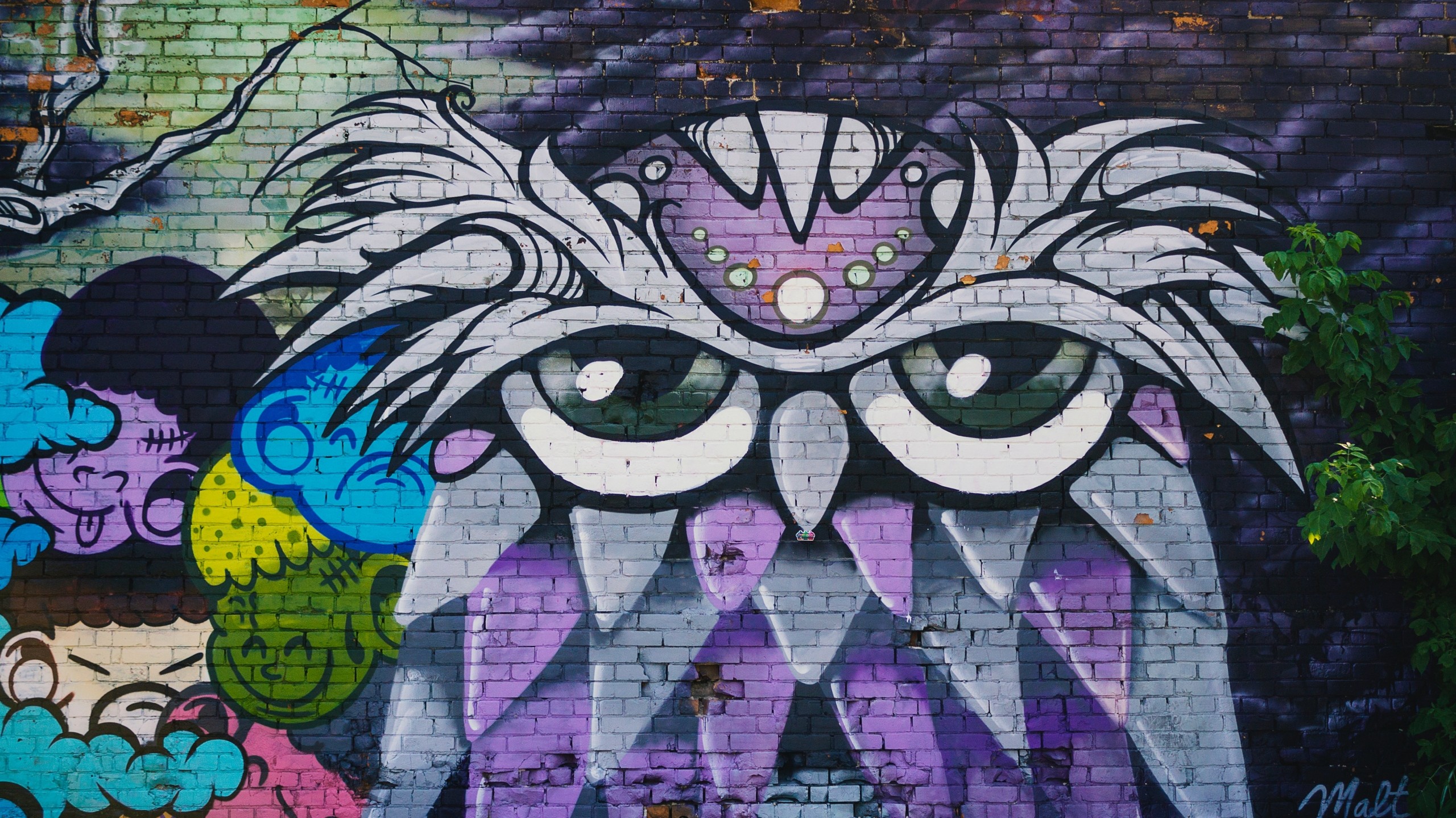 2560x1440  Wallpaper owl, graffiti, art, wall, street art