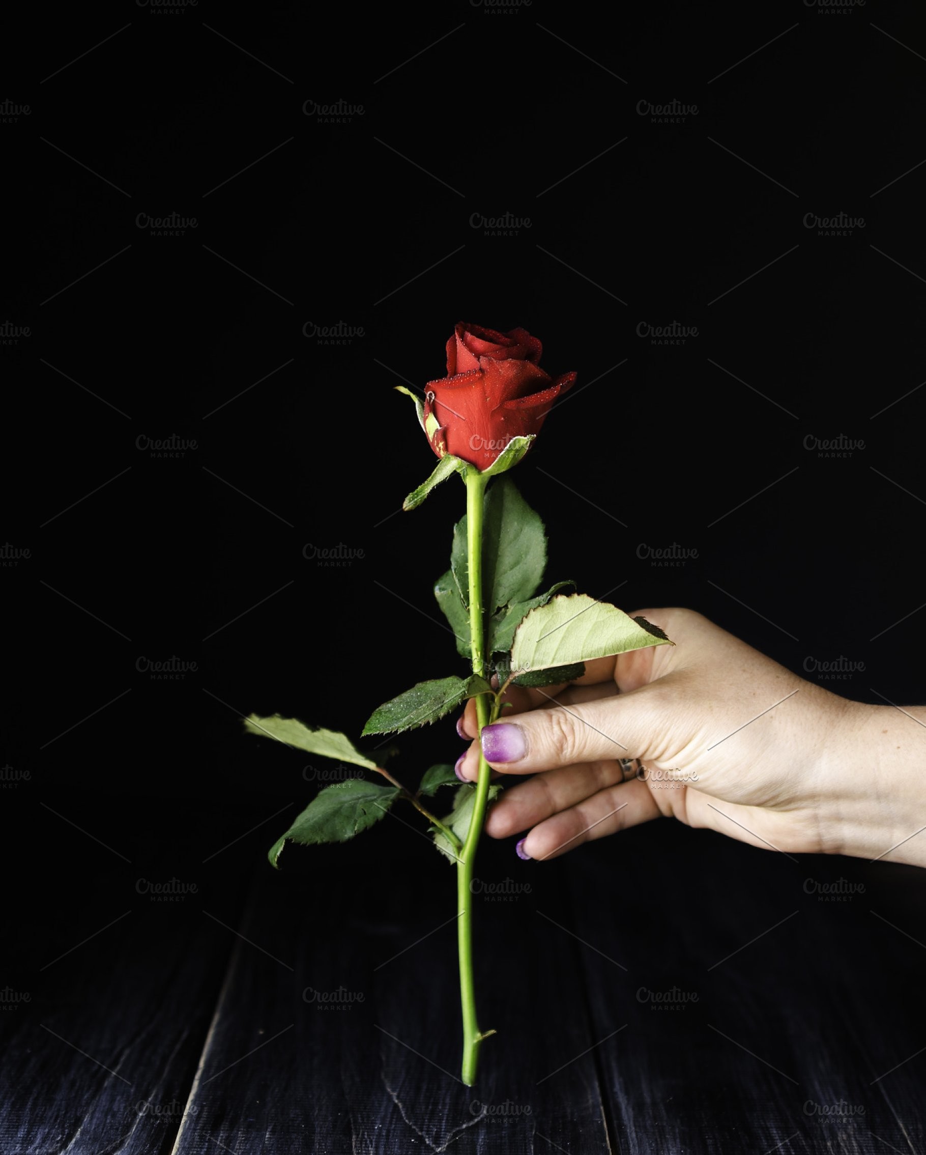 1820x2270 Save. Little red rose in female hand on a black background ...