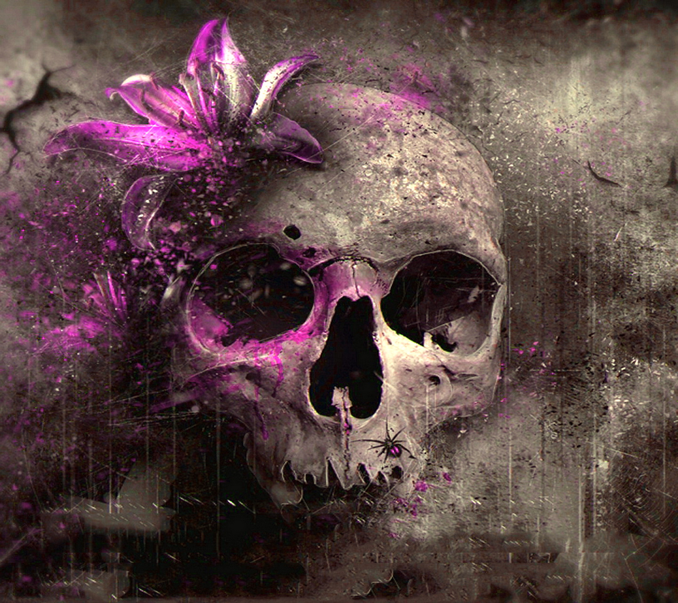 Pink Skull Wallpaper.