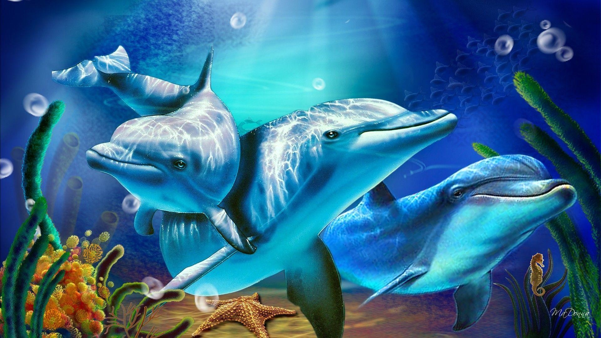 1920x1080 Dolphin Wallpapers - HD Wallpapers Inn