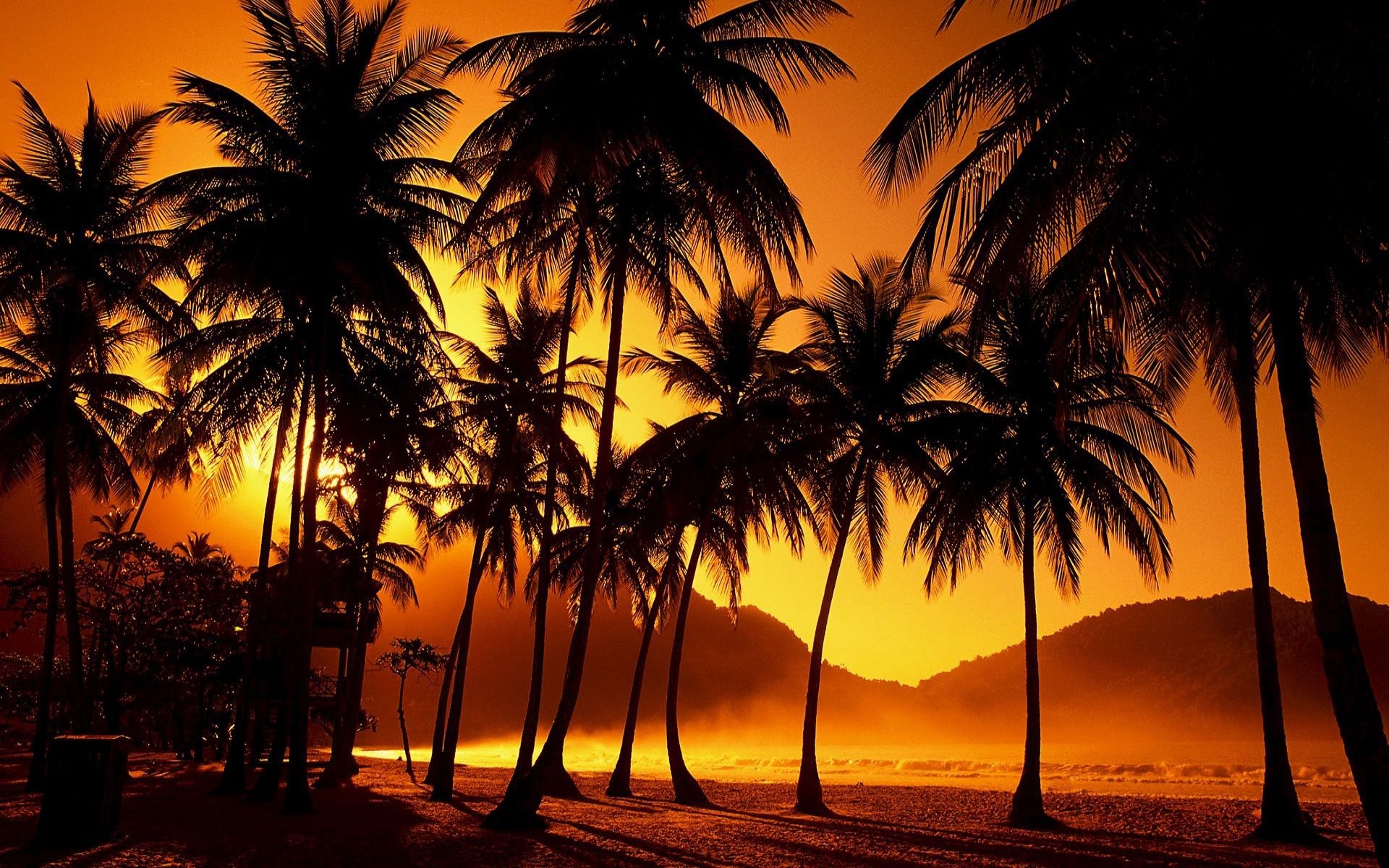 1920x1200 Sunset wall mural from scarface wall design sunset wall mural from  scarfacesunset palm trees wallpaper jnsrmgksb