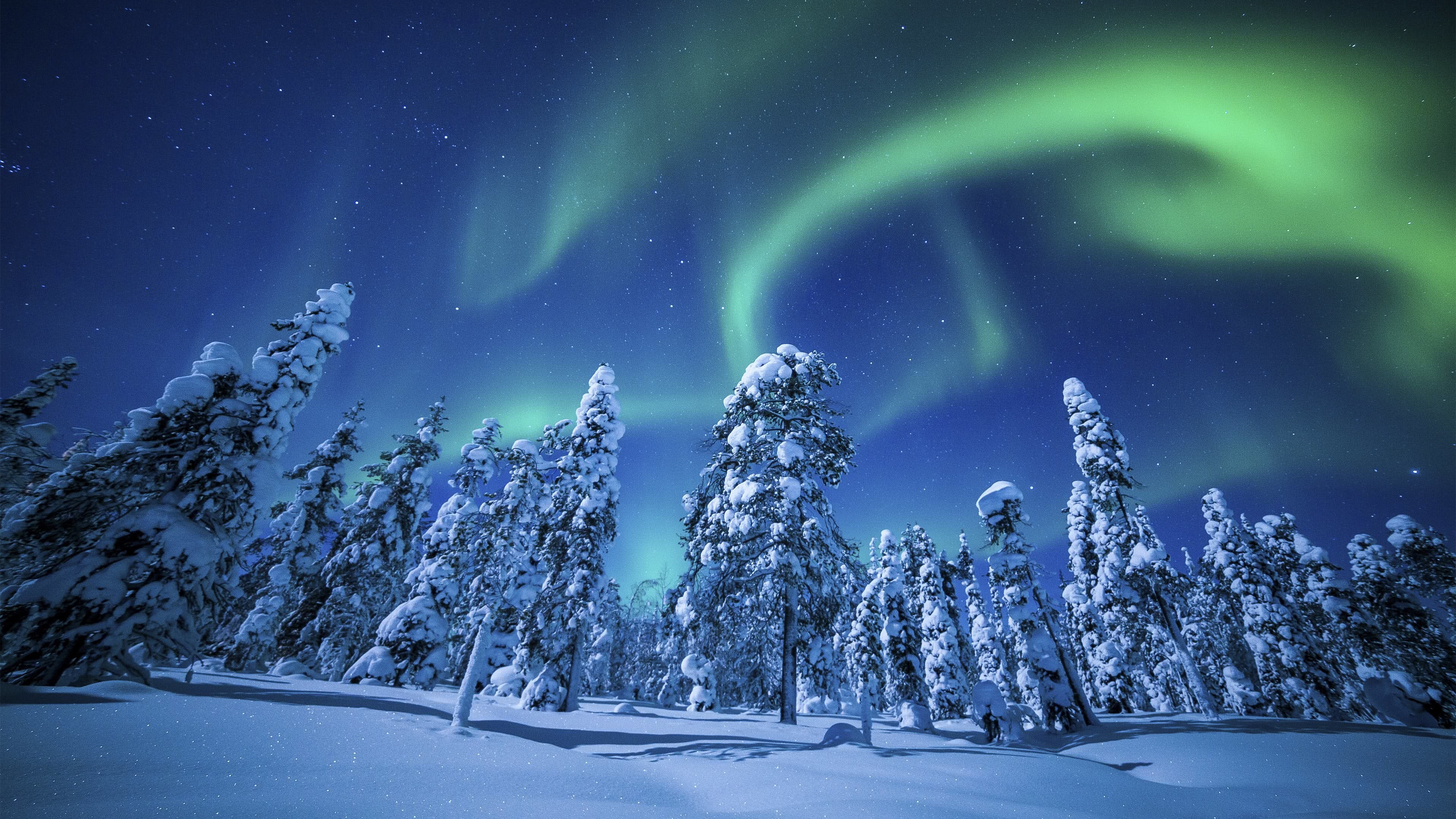 3840x2160 northern lights aurora borealis over forest uhd 4k wallpaper