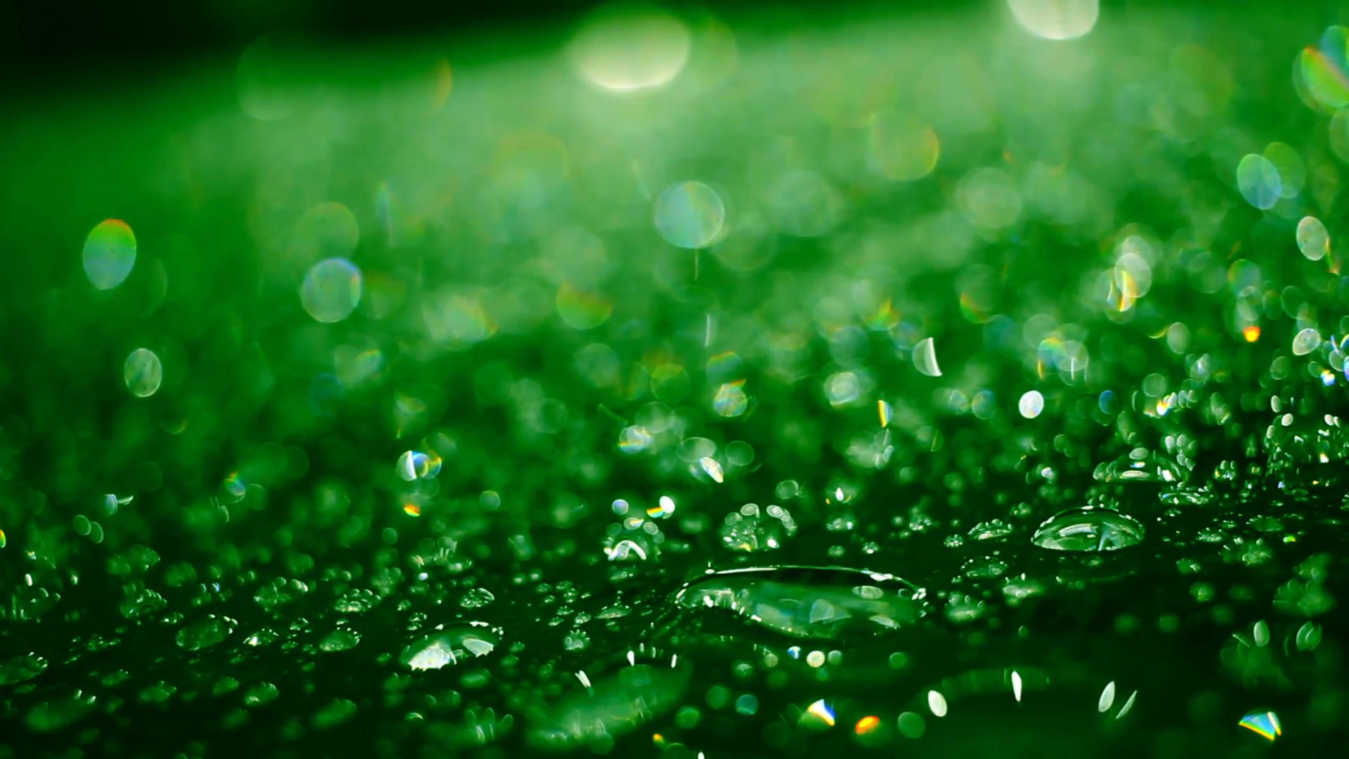 Raindrops Background (55+ images)