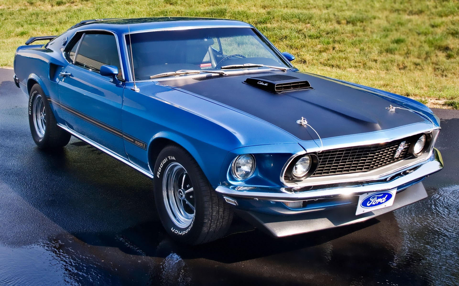 1920x1200 1969 Mustang Mach 1 428 Super Cobra Jet This has been my dream car since  before I could drive!