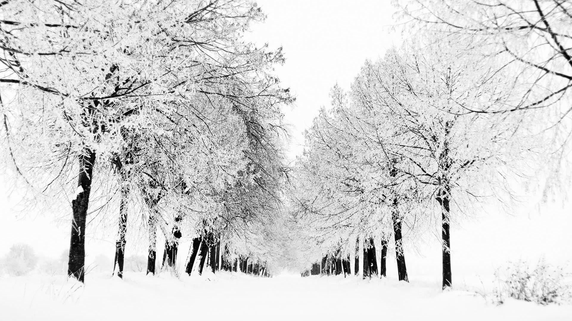 1920x1080 Amazing Winter Snow Wallpaper