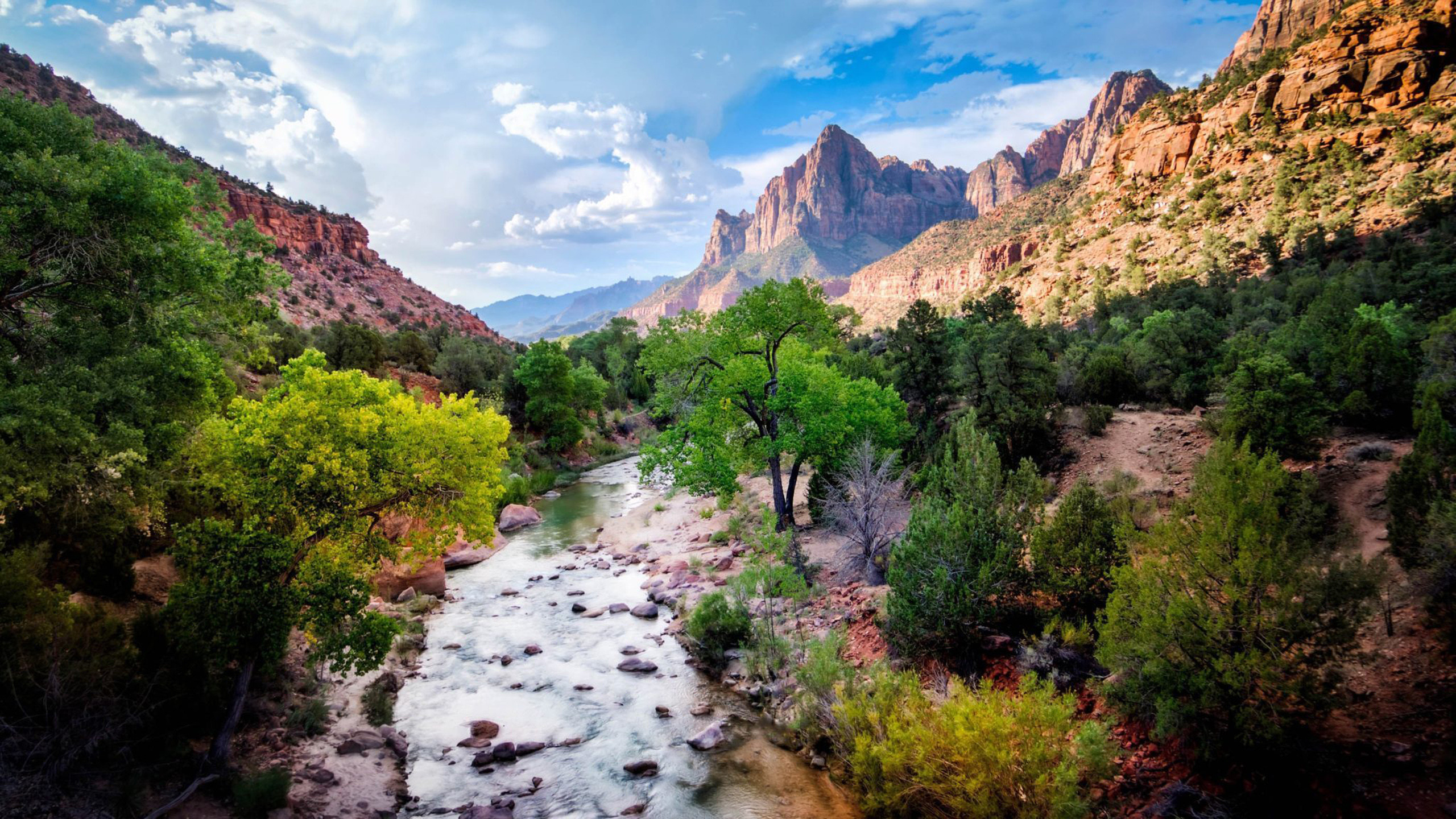 2560x1440 Landscape Rocky Mountains Trees Blue Sky White Clouds Virgin River Zion  National Park Utah United States Of America 4k Ultra Hd Wallpapers 2560Ã1440