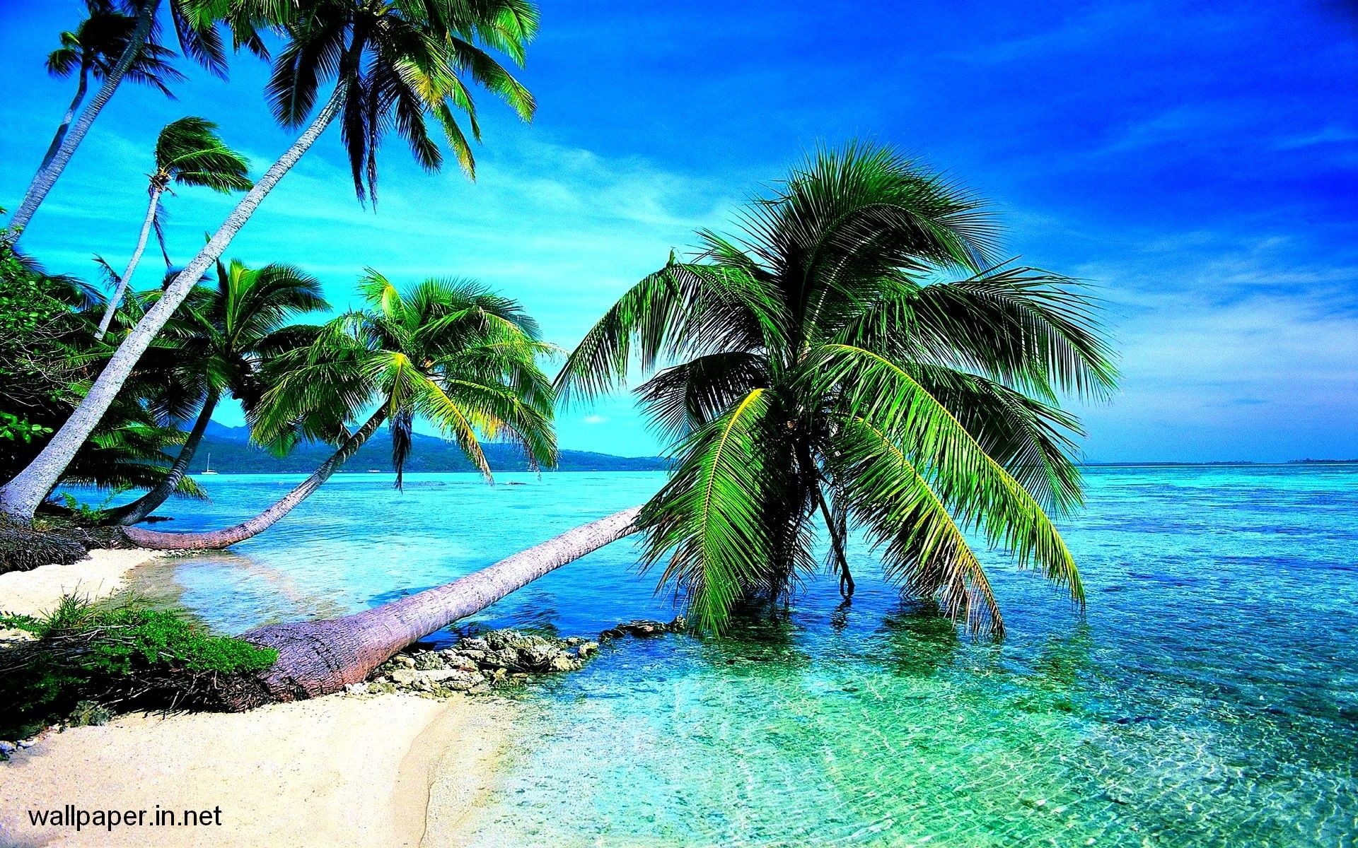 1920x1200  Tropical Island Wallpaper Free - WallpaperSafari Tropical blue  sea clear sky white sand beach view theme HD 1080p .