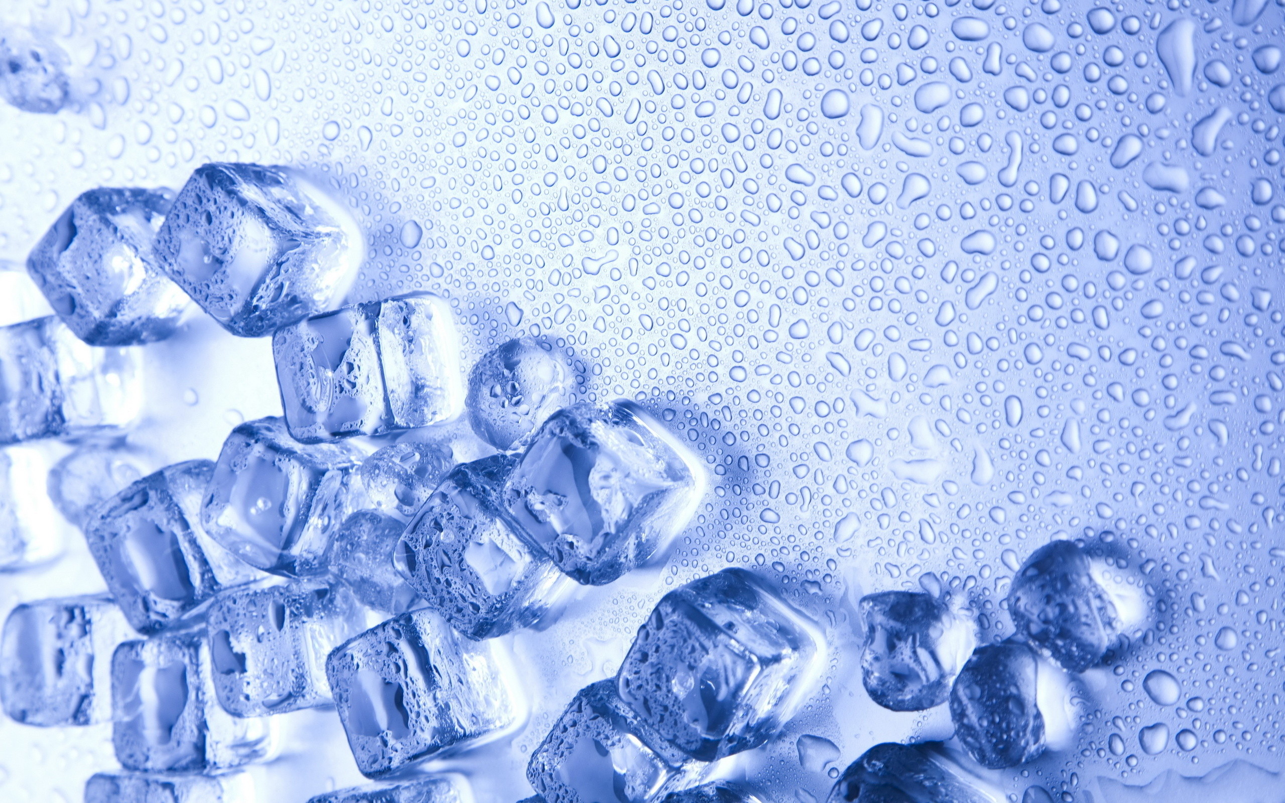 2560x1600 Ice Cubes Wallpaper Background 7644