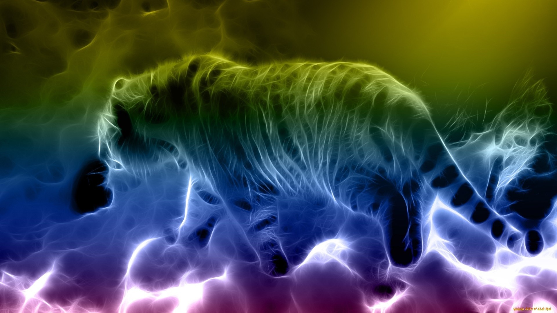 1920x1080 art, Abstract, Fractal, Animals, Cats, Tiger, Rainbow, Predator, Wildlife  Wallpapers HD / Desktop and Mobile Backgrounds