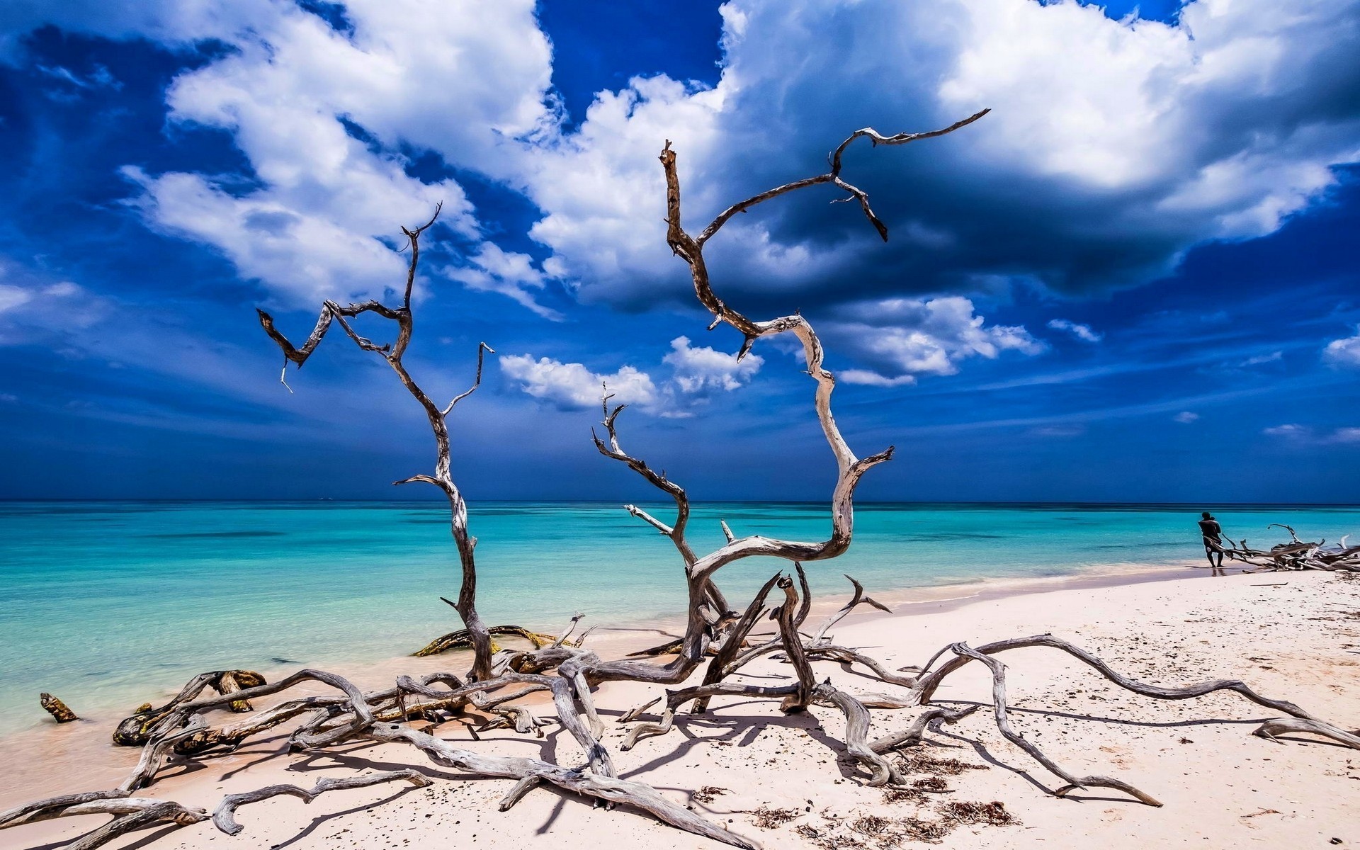 1920x1200 landscape nature beach sand tropical sea sky turquoise caribbean water  clouds dead trees cuba wallpaper and background