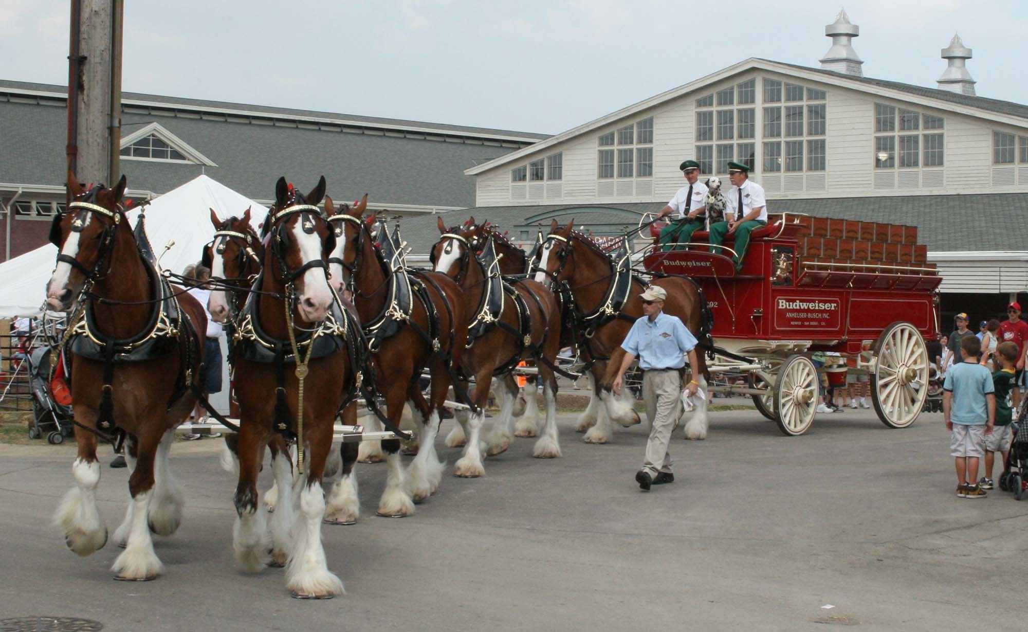 2000x1229 Budweiser Clydesdale Horses