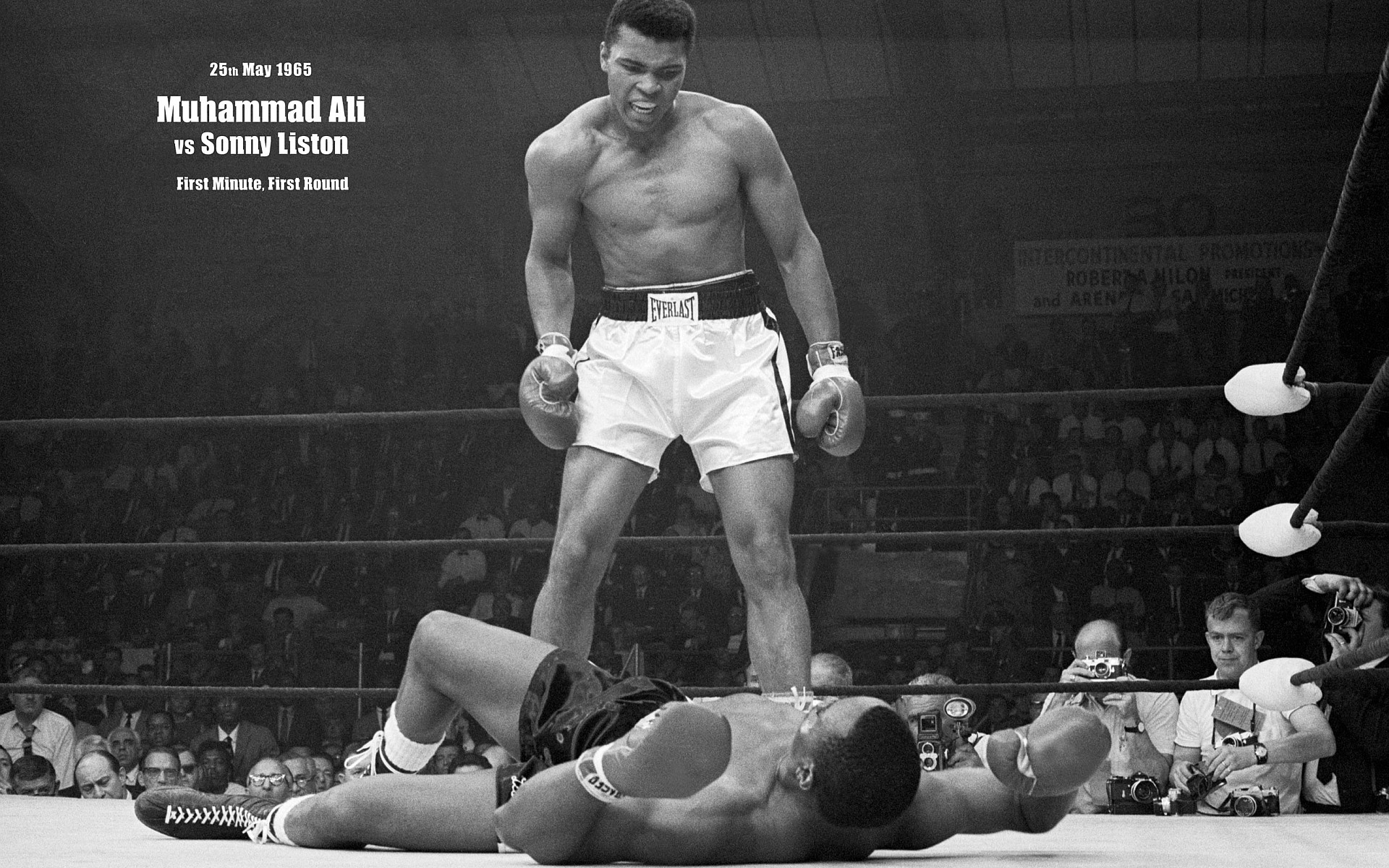 1920x1200 Muhammad ali wallpapers ozon4life high quality muhammad ali wallpaper full hd  backgrounds yukkehousefo Choice Image