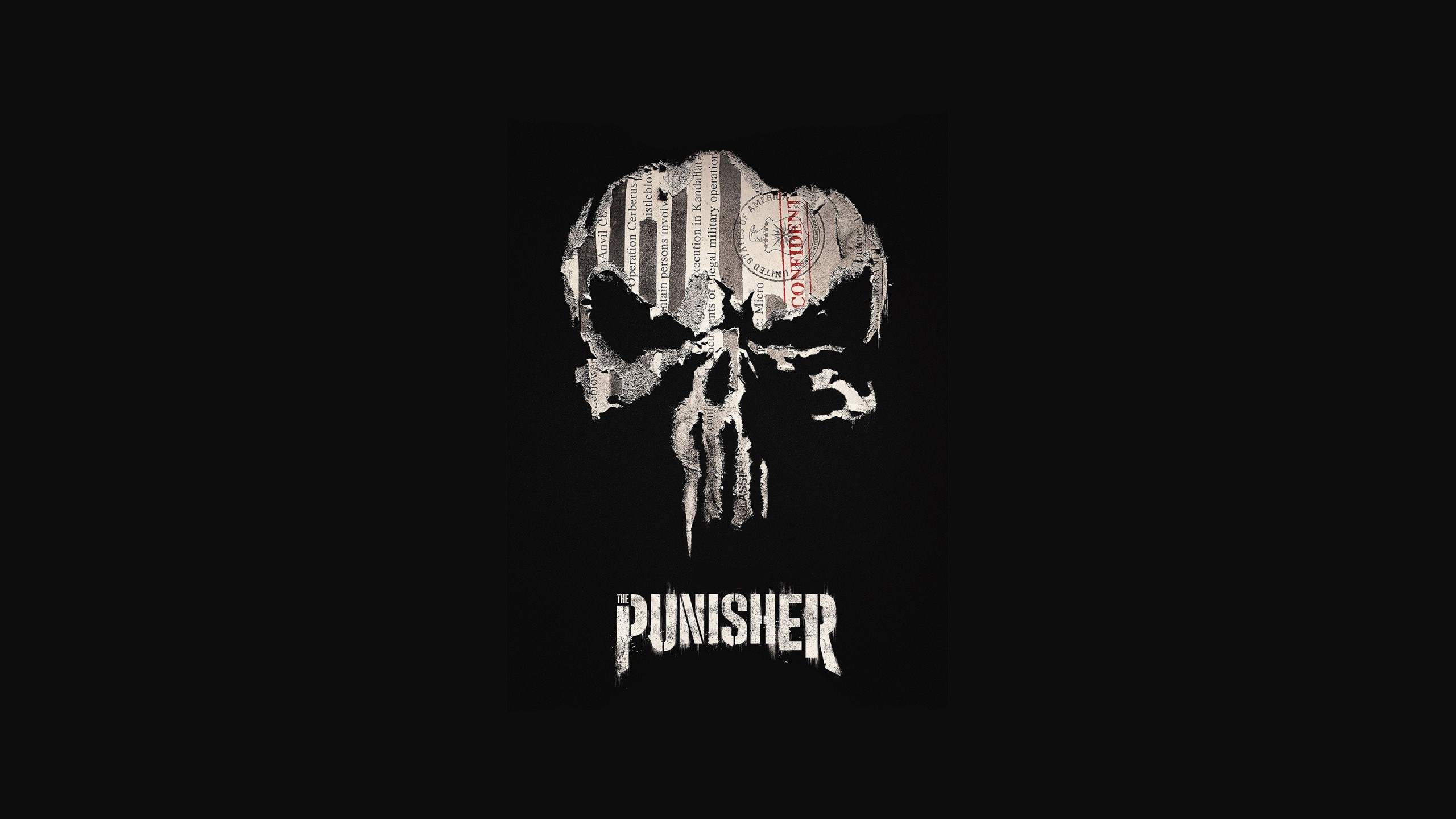 2560x1440 Tags: Punisher ...
