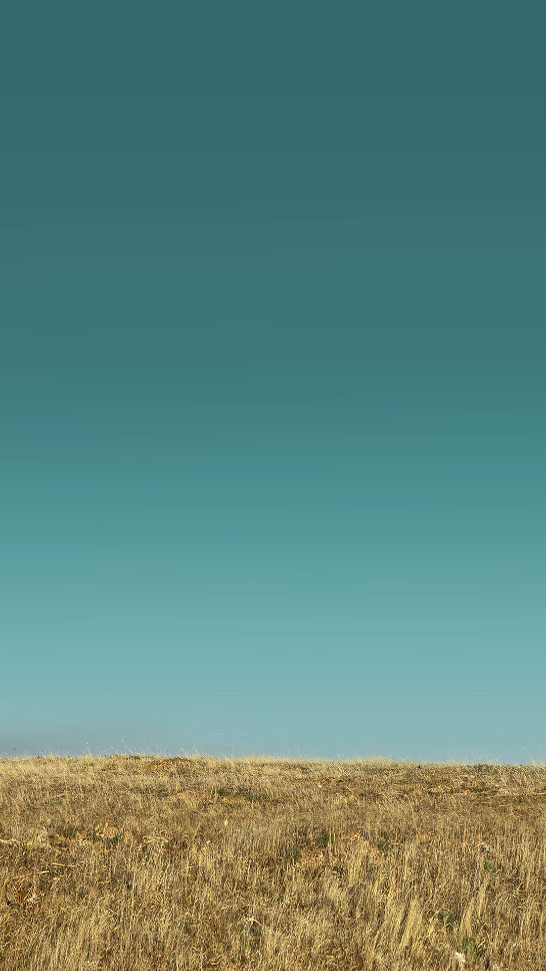 1080x1920 Golden Grass Field Blue Sky Android Wallpaper ...