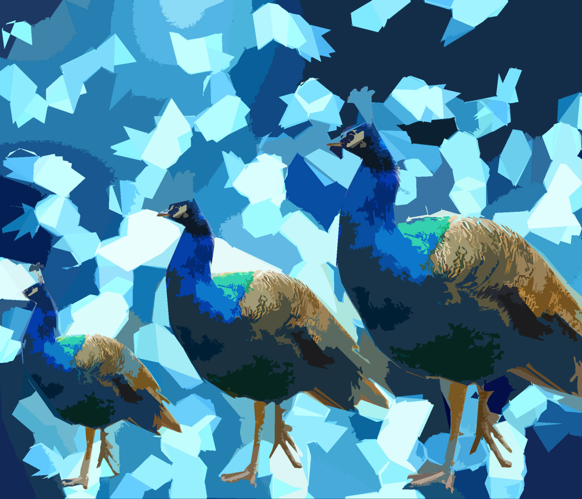 1920x1646 blue,peacock,bird,background,website,design,colorful,bright,
