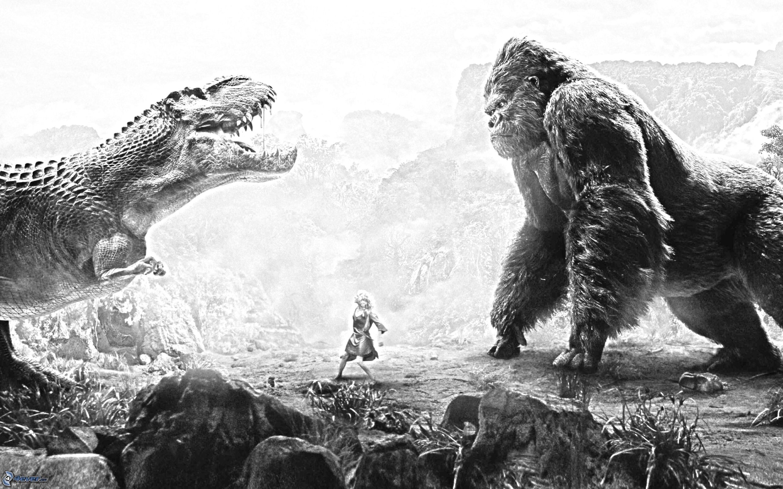 2560x1600 Black And White Images Of Dinosaurs 7 Cool Hd Wallpaper