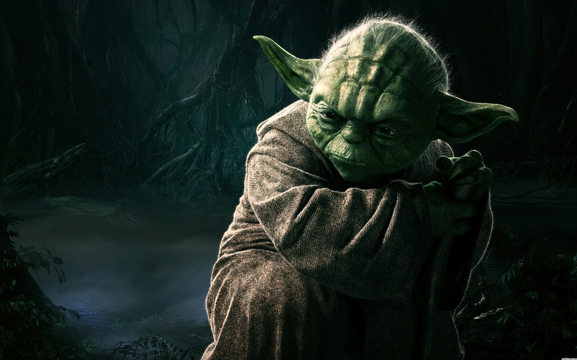 1920x1200 HD Wallpaper and background photos of Yoda Wallpaper for fans of Star Wars  images.