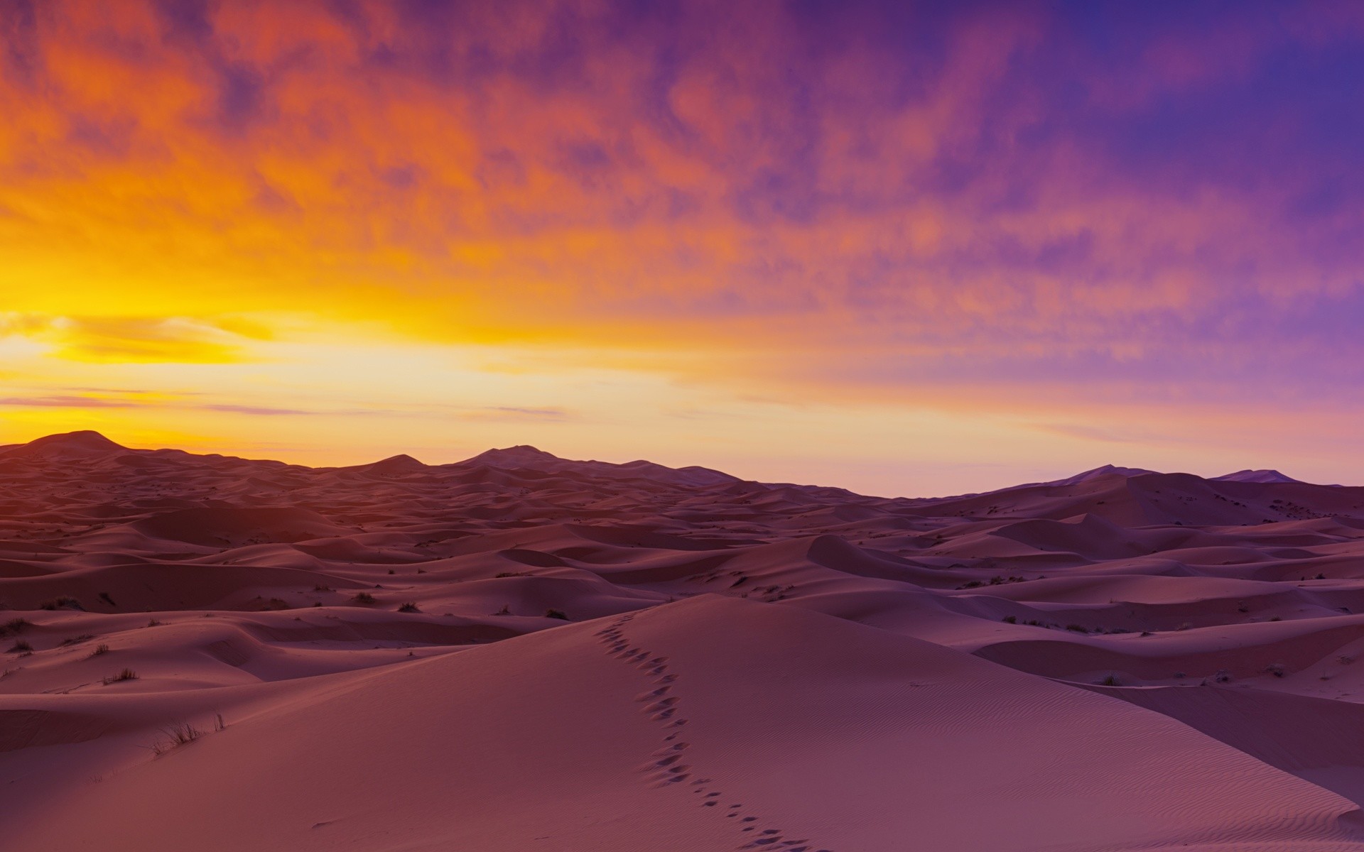 1920x1200 Sahara Desert Sand Dunes