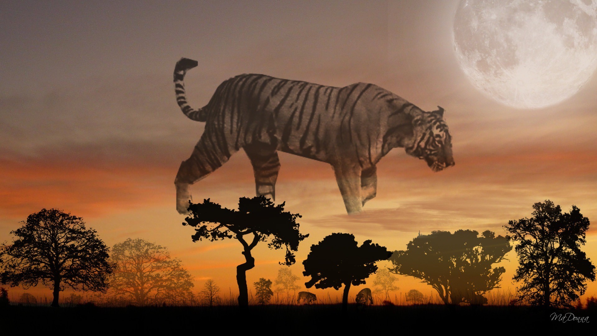 1920x1080 Ghostly Tag - Tiger Sunset Fantasy Ghostly Moon Trees Sky Wallpaper Ios 8  for HD 16