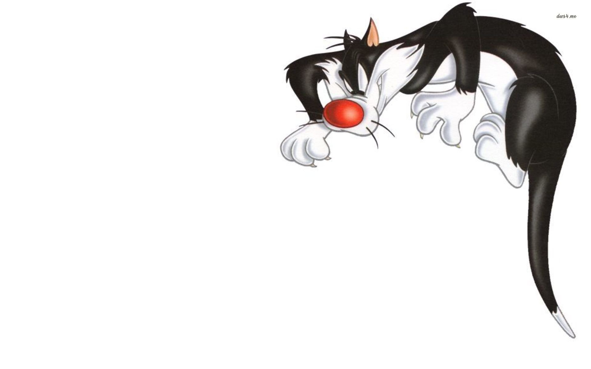 Sylvester The Cat Wallpaper 58 Images