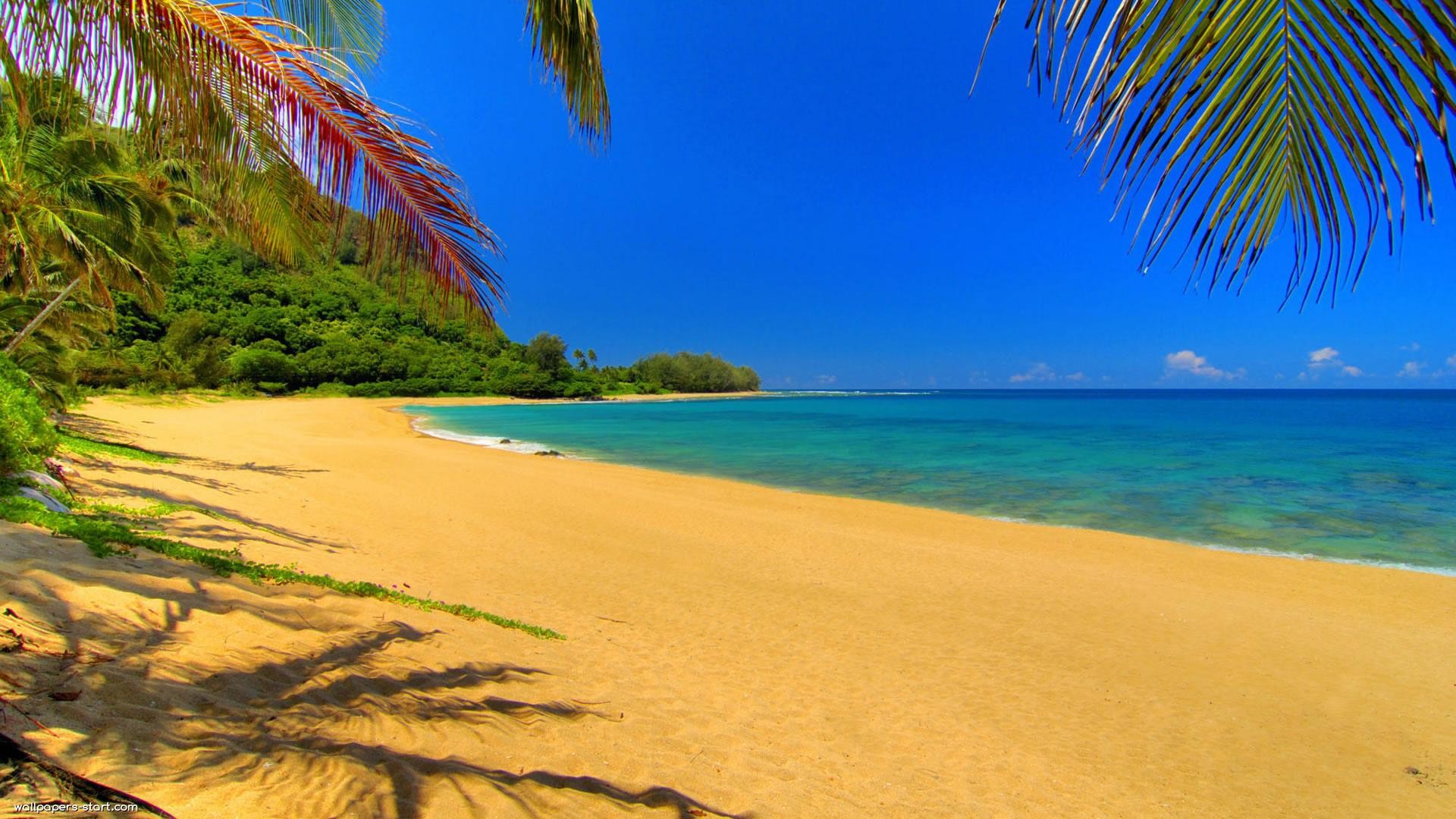 Wallpaper Summer, beach, palm trees, sea 3840x2160 UHD 4K Picture, Image