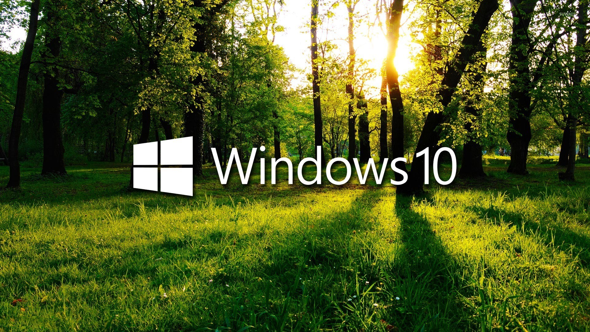 1920x1080 Windows 10 in the green forest white logo with text wallpaper  jpg
