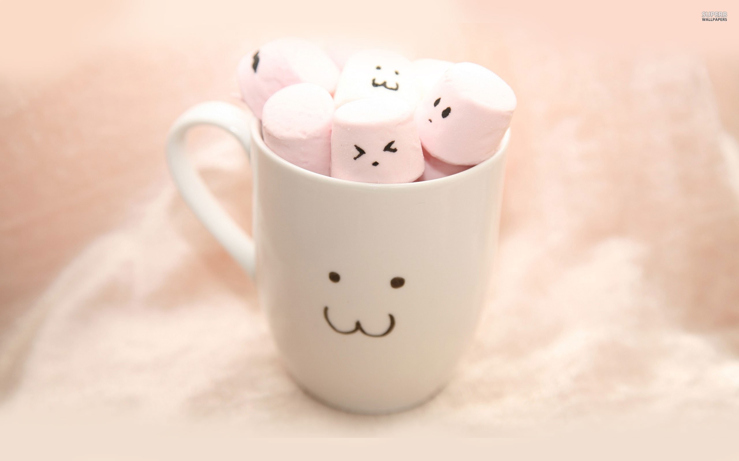 2560x1600 Cup Full Of Marshmallows Wallpaper