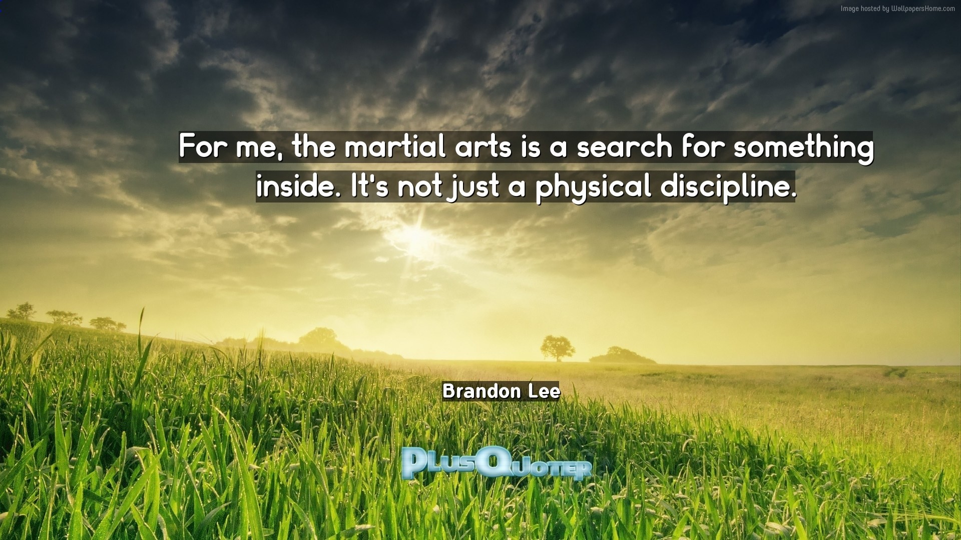 1920x1080 Download Wallpaper with inspirational Quotes- "For me, the martial arts is  a search