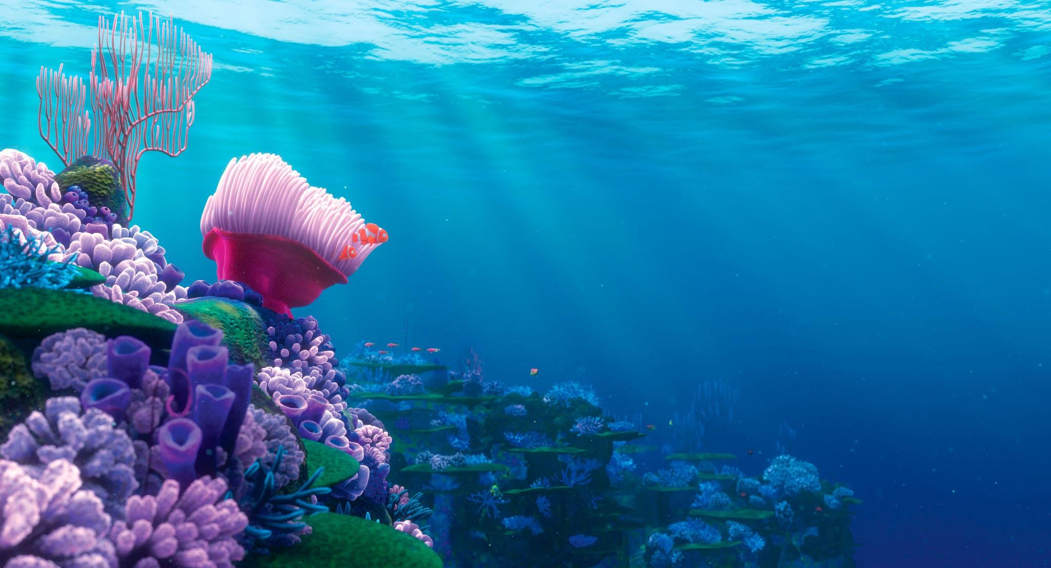 2048x1107 disney pixar s finding nemo coral reef aquarium background – see