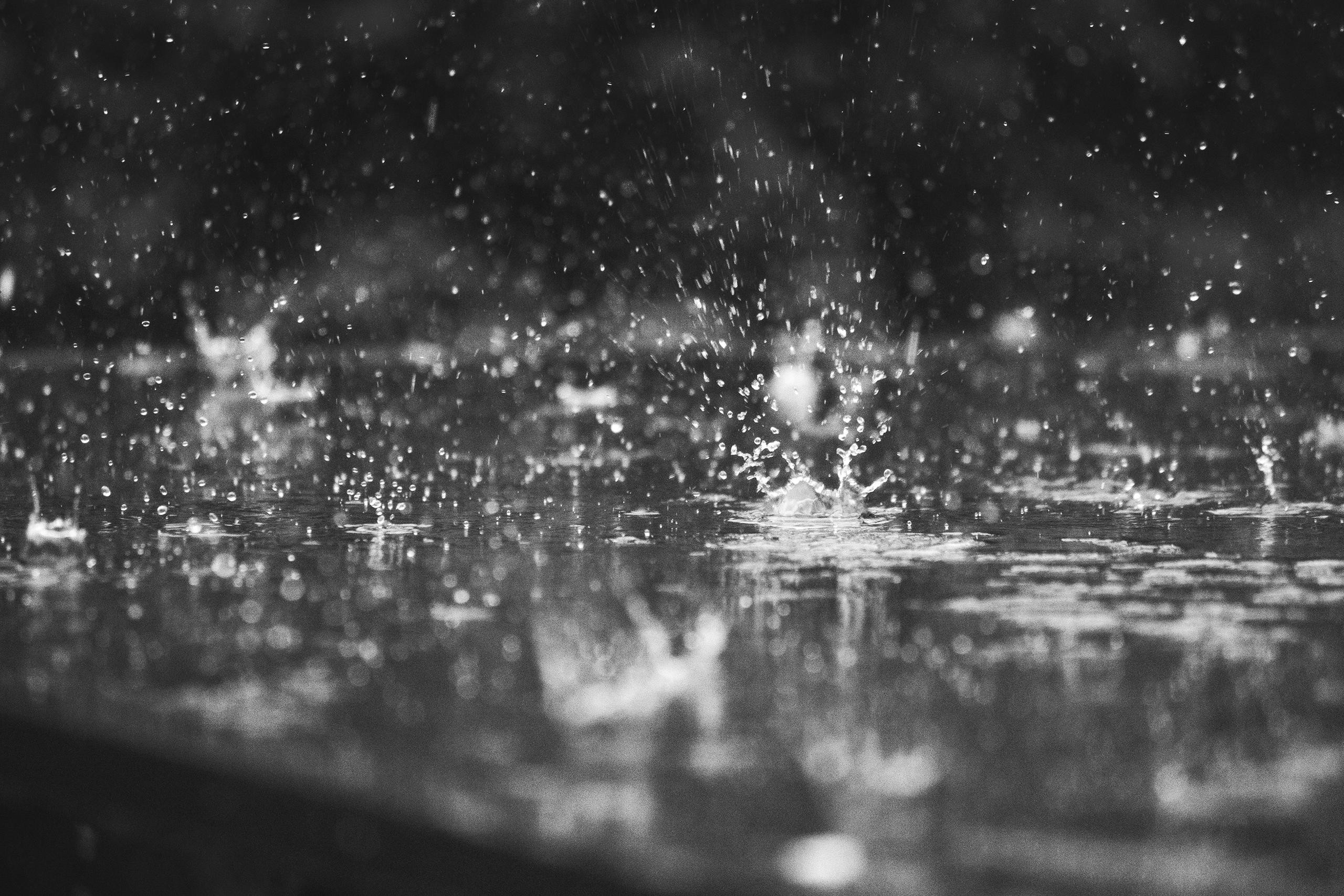 2560x1707 Black and White Raindrops Wallpaper