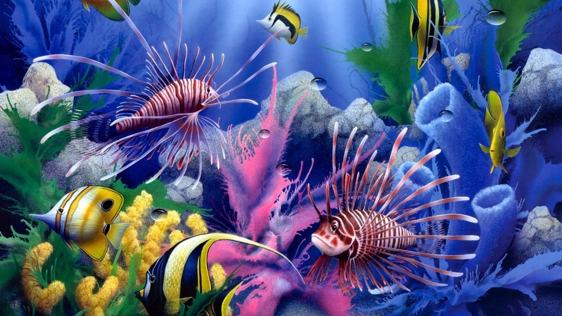 1920x1080 Sealife Tag - Underwater Life Sealife Sea Color Art Tropical Reef Coral  David Ocean Miller Painting