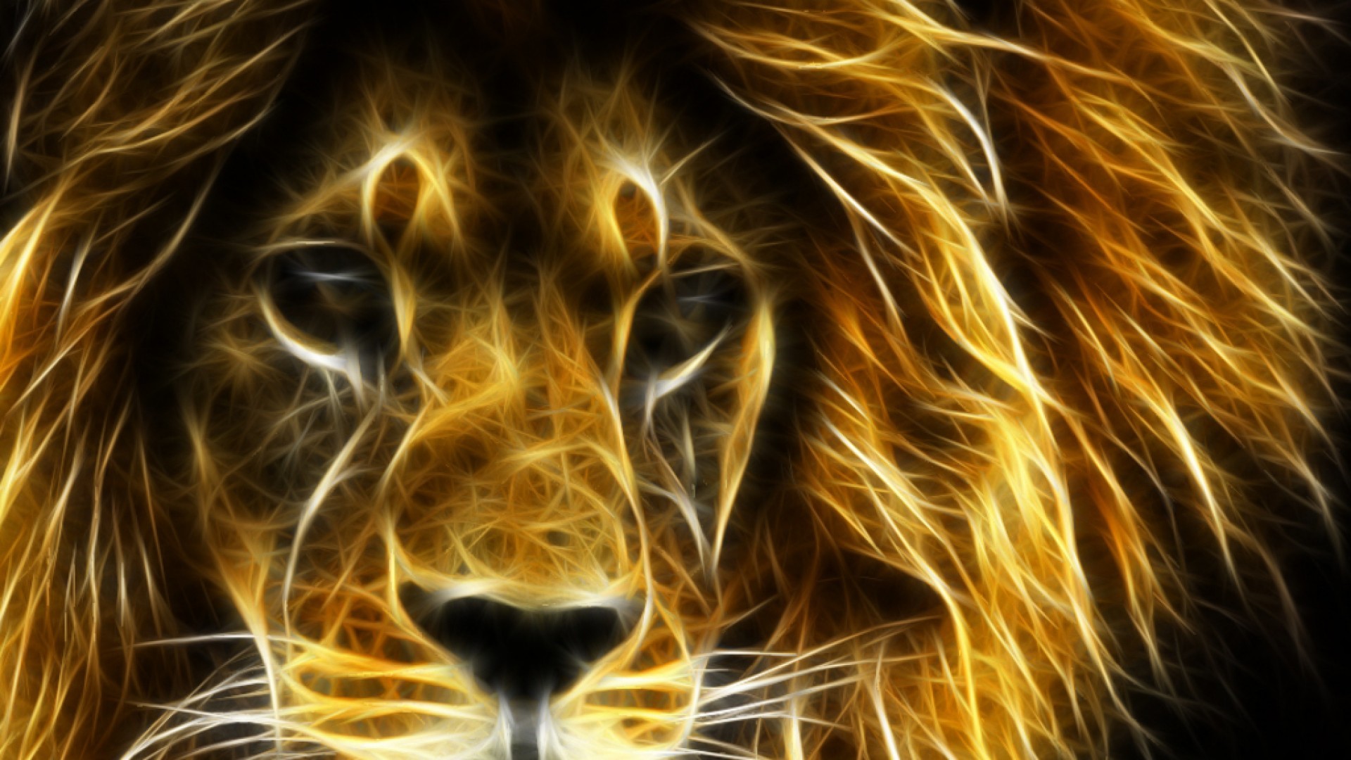 1920x1080 Lion Wallpapers | Best Wallpapers