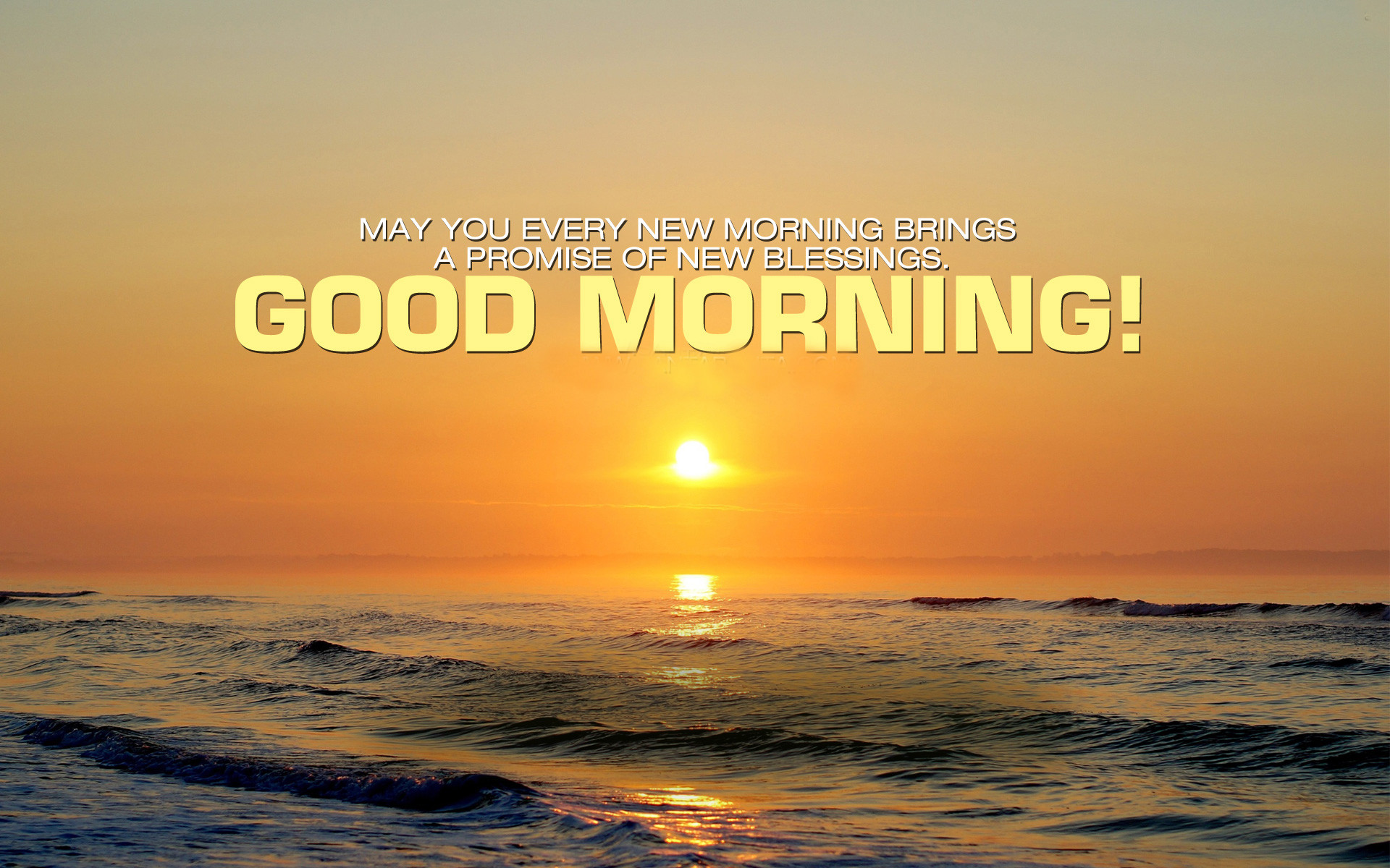 1920x1200 Daily Cards Good Morning Good Morning Wishes HD Wallpaper Download 