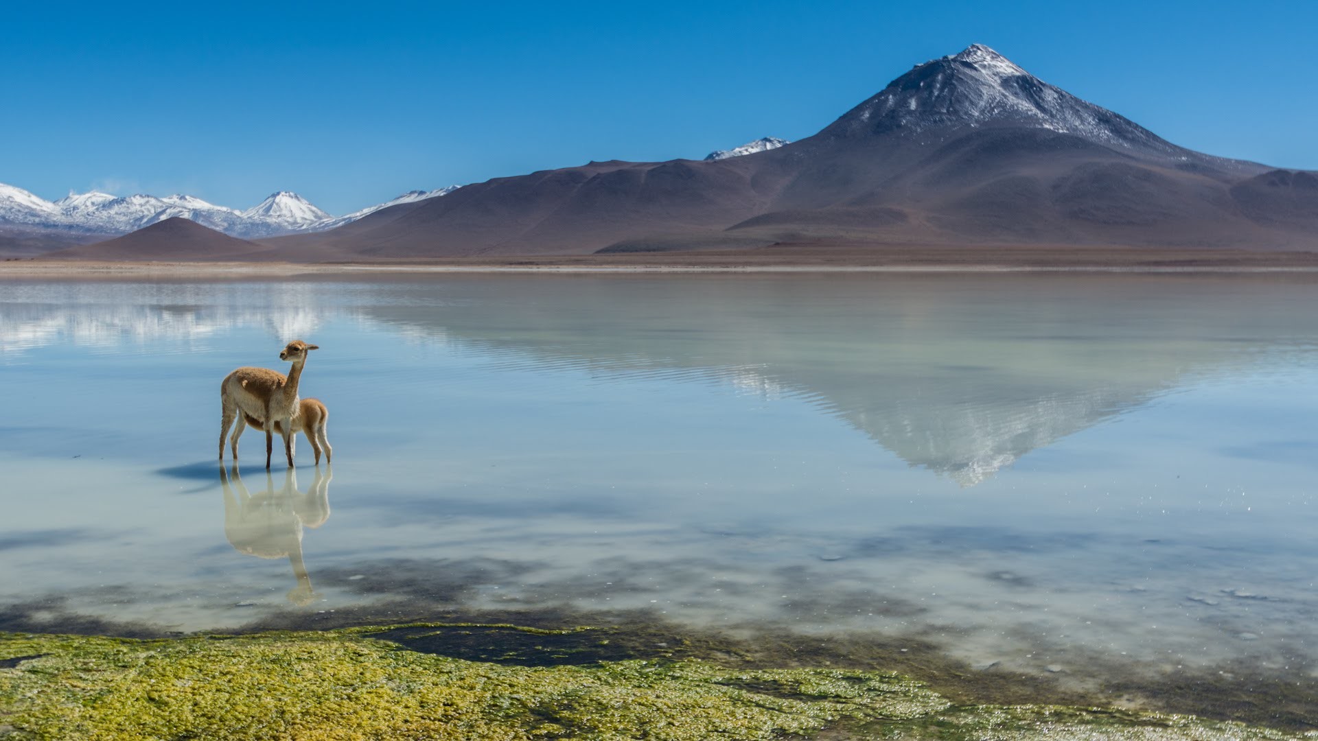 1920x1080 Salt Lake in Chile Wallpapers HD Wallpapers