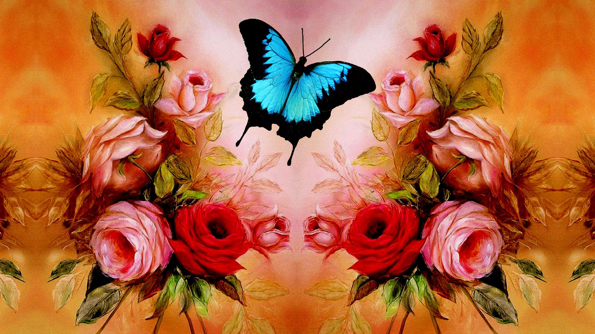 1920x1080 butterfly wallpaper red rose