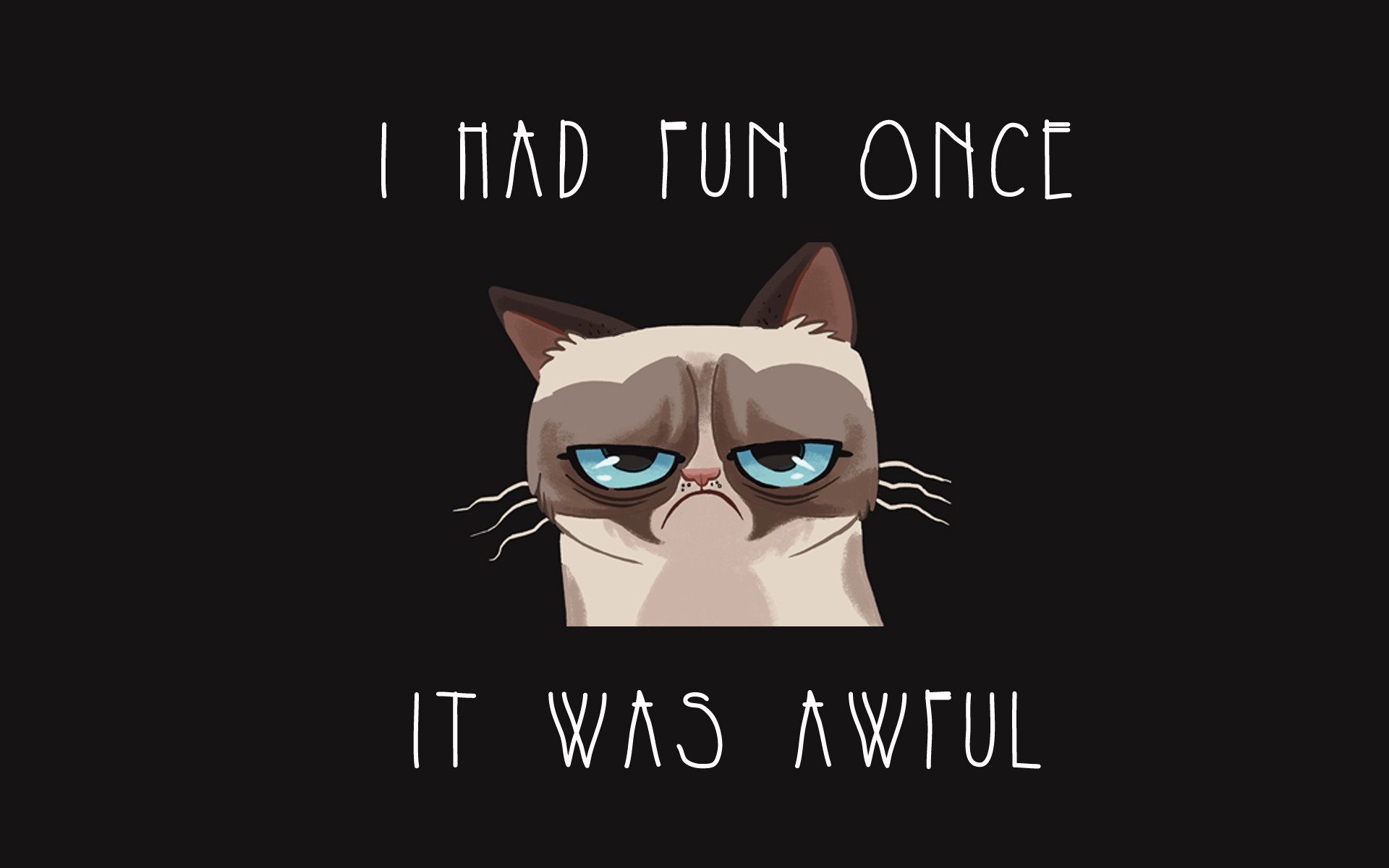 1920x1200 Funny Grumpy Cat HD Desktop Wallpaper