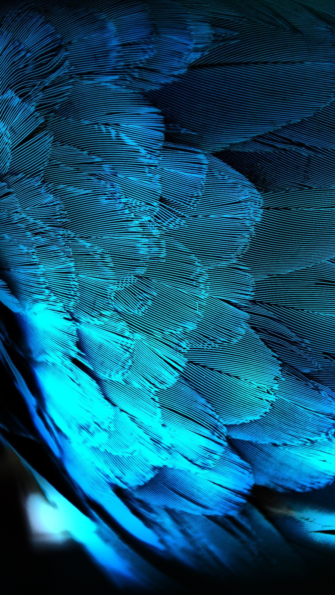 1080x1920 Blue HD Peacock Feathers Android Wallpaper ...