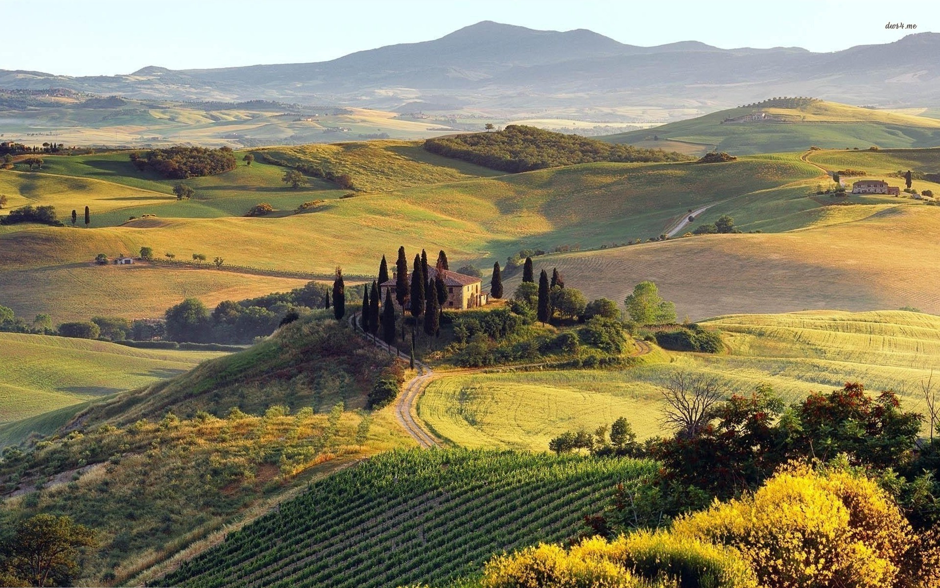 1920x1200 33 Tuscany Wallpapers Download Wallpaper 1600x900 Italy, Tuscany, Summer,  Countryside .