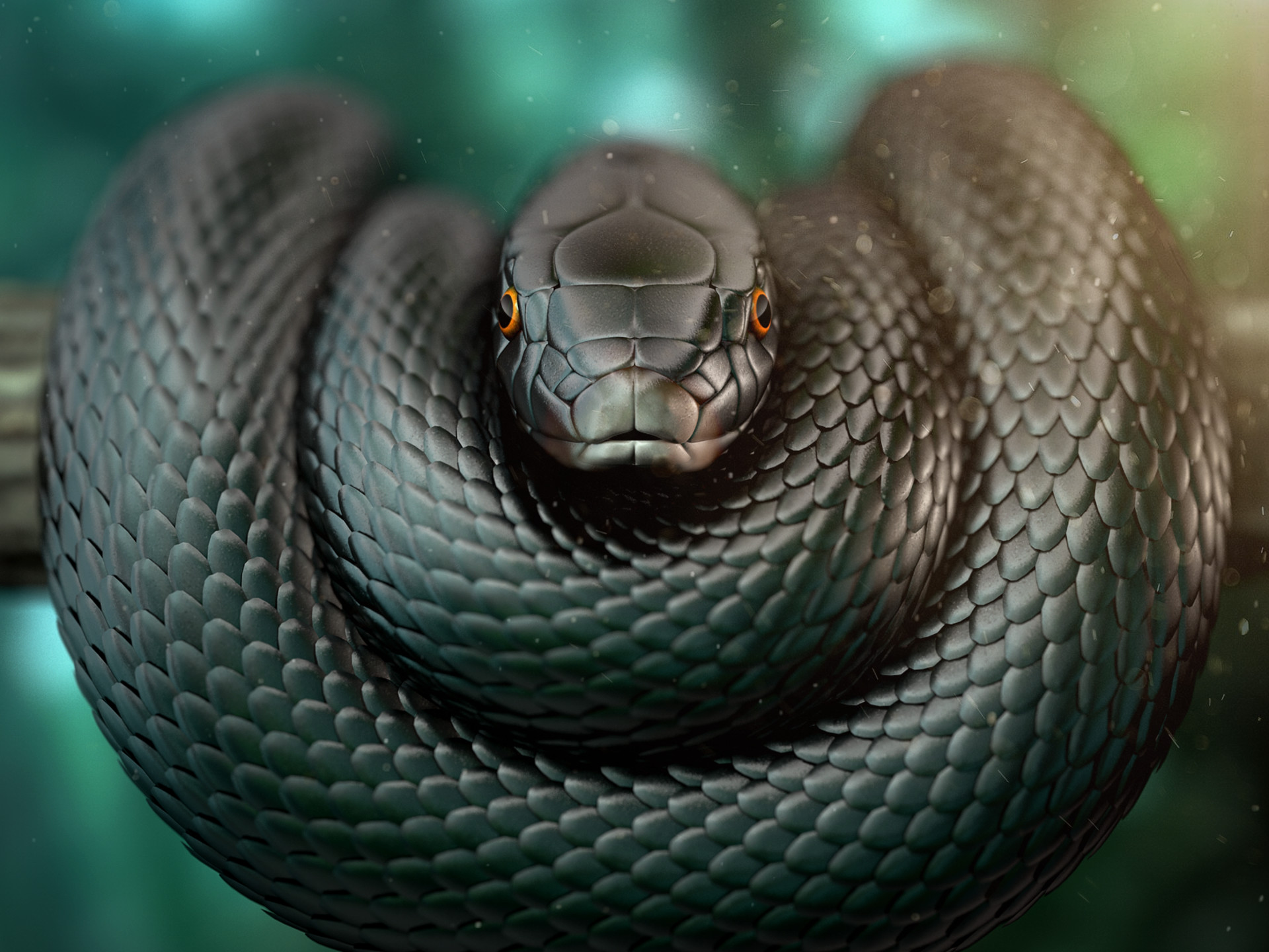 1920x1440 ... Wallpapers Black Mamba Widescreen Pictures Of Black Mamba