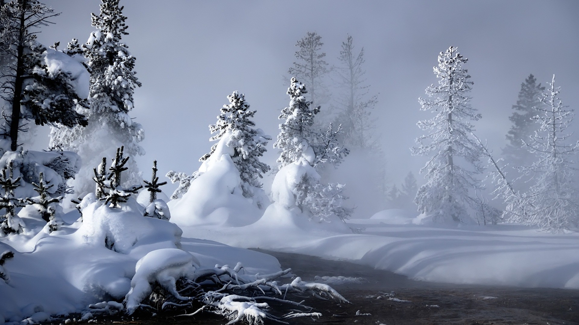 1920x1080 ... mystic winter wallpaper winter nature wallpapers in jpg format for ...