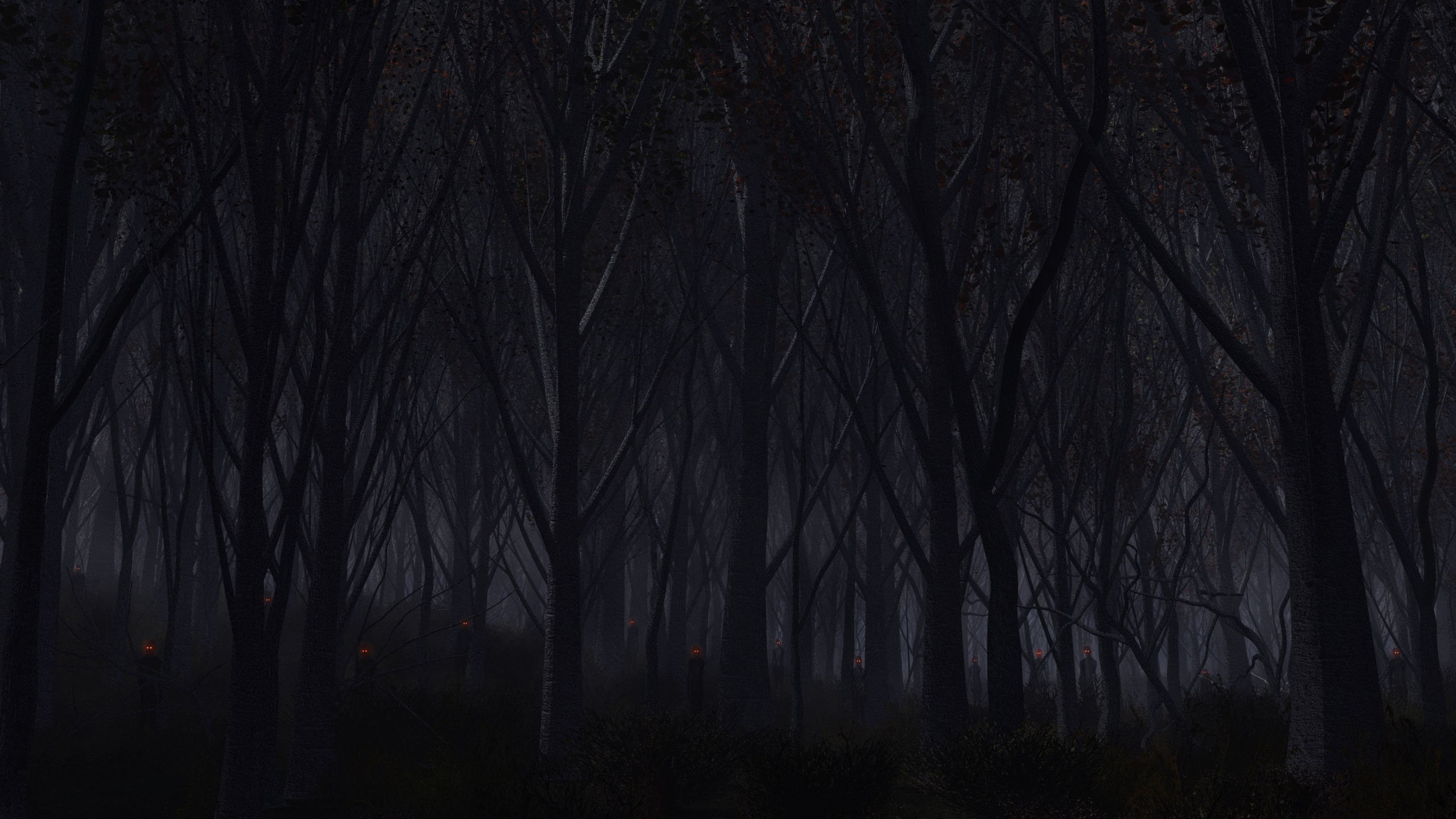 3840x2160 Preview wallpaper forest, trees, background, dark 