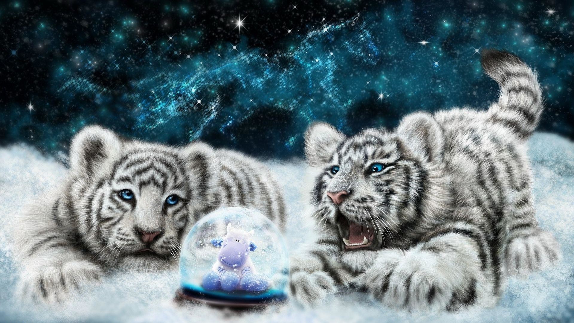 1920x1080 White tiger cubs looking at the snowglobe