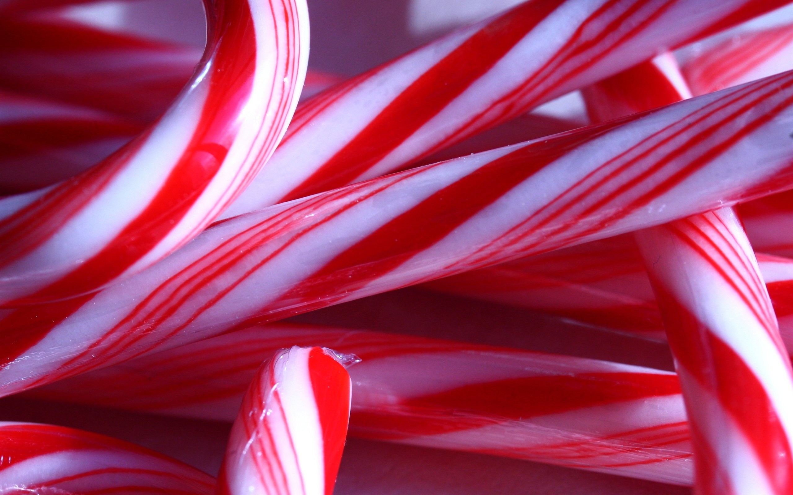 2560x1600 candy cane up close wallpaper background 52139