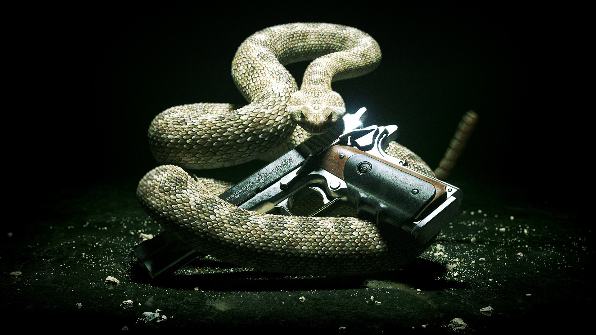 1920x1080 Snake-Snake-and-Pictures-Collection-wallpaper-wpt7408749