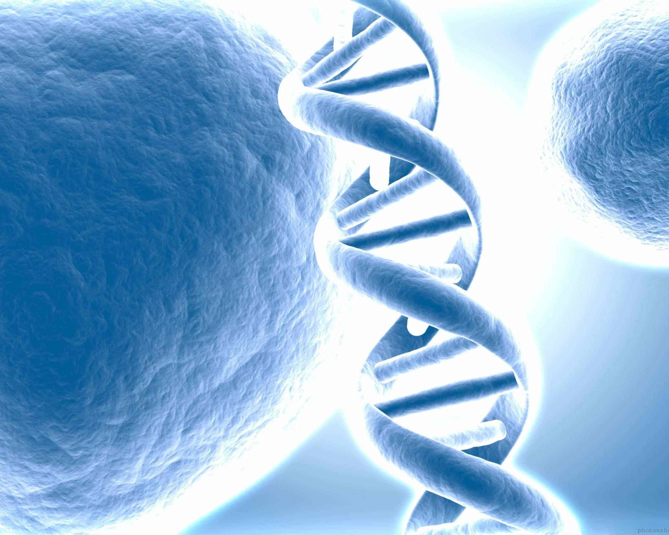 2560x2048 Images For > Human Dna Wallpaper