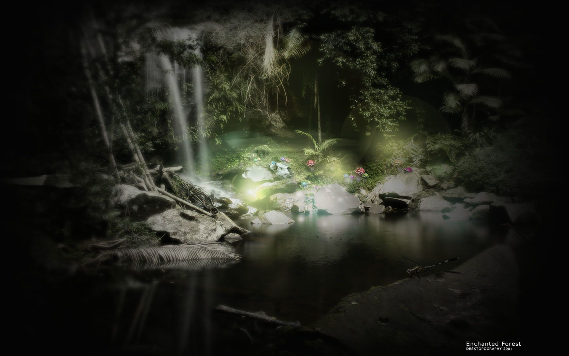 1920x1200 Enchanted Forest Background 60 Images