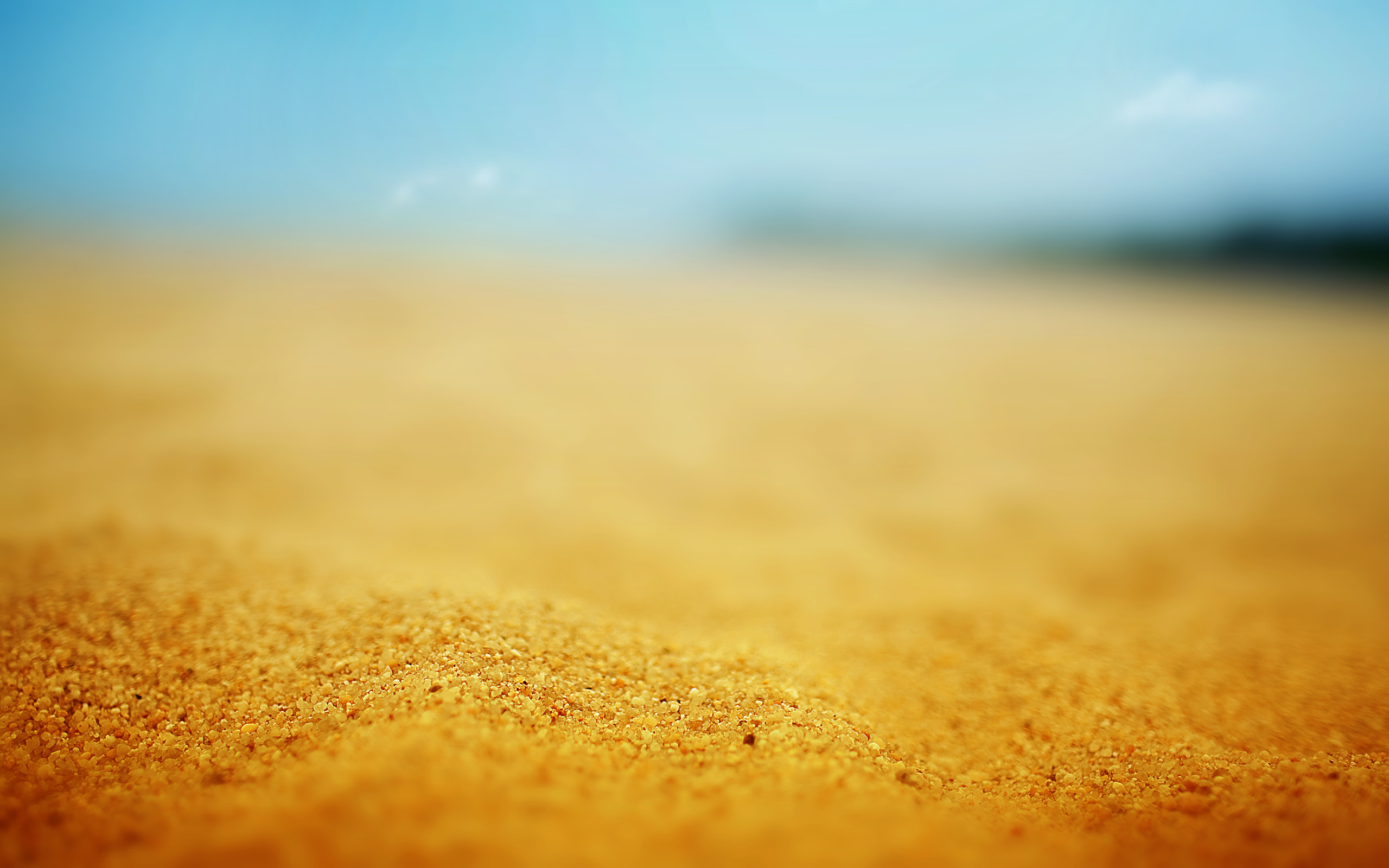 2560x1600 #macro, #sand, #beach, wallpaper