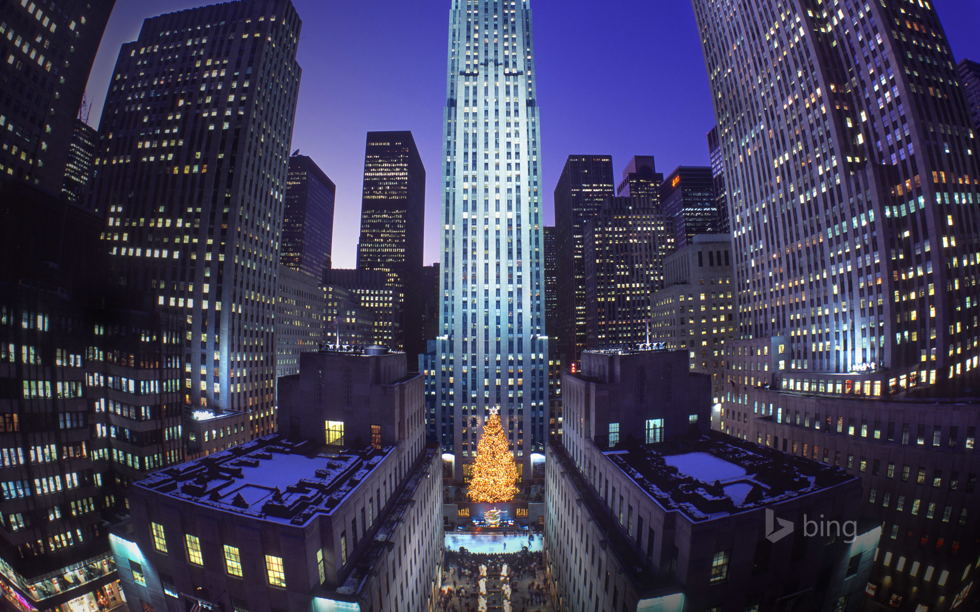 1920x1200 christmas tree at rockefeller center new york city new yorkjpg 