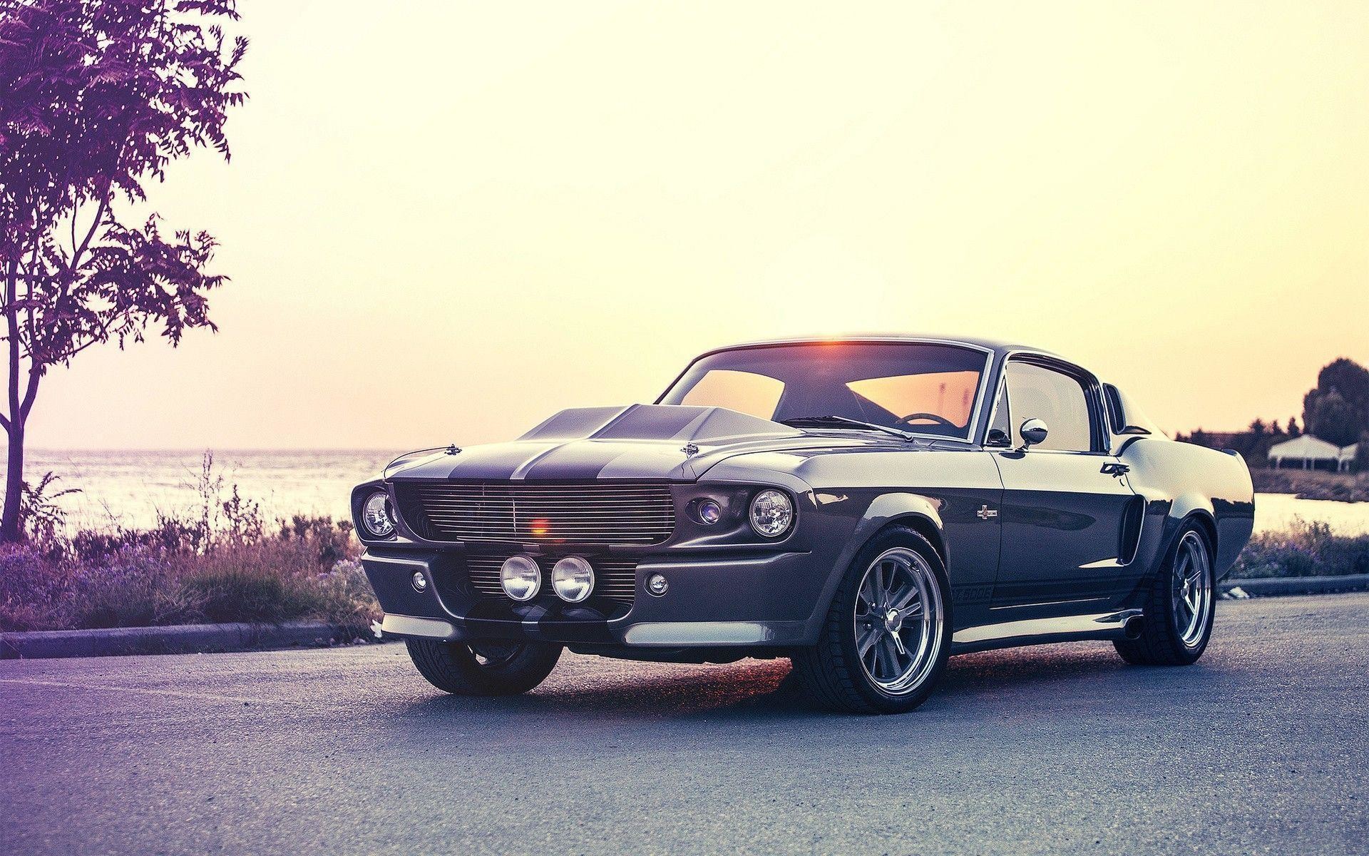 1920x1200 Muscle Cars Mustang Wallpaper